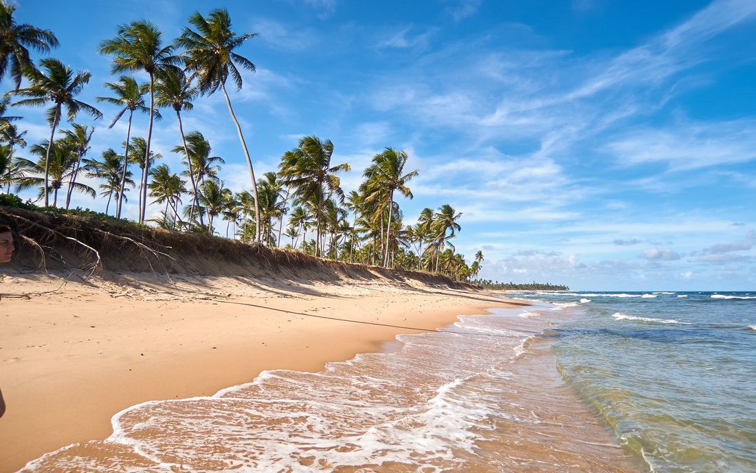A sandy beach with gentle waves washing ashore, lined with tall palm trees on a dune under a bright blue sky.