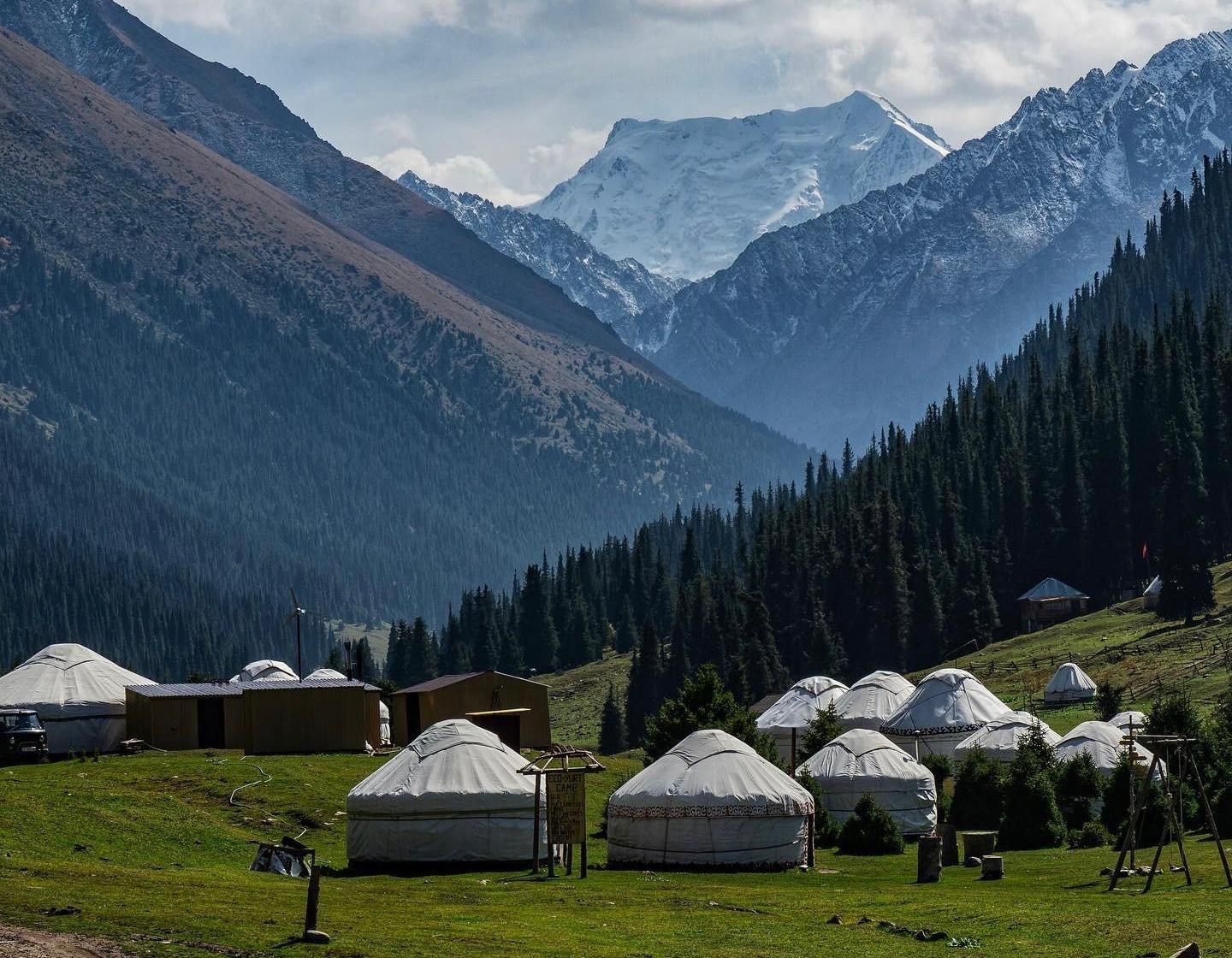 Un camp de yourtes est niché dans une vallée de montagne verdoyante avec des forêts de pins et un sommet enneigé en arrière-plan.