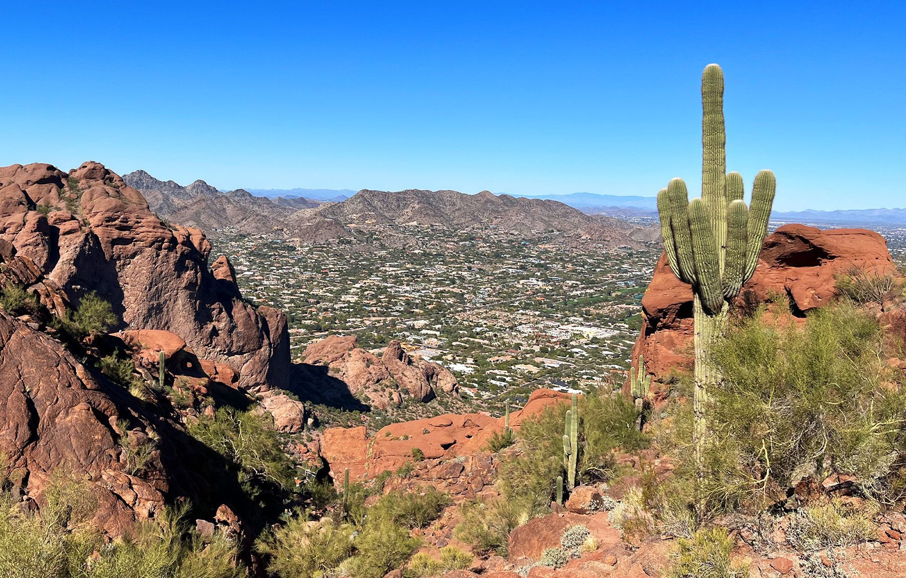 Un cactus saguaro e formazioni rocciose rosse si affacciano su una città in una valle desertica, con montagne distanti sotto un cielo sereno.