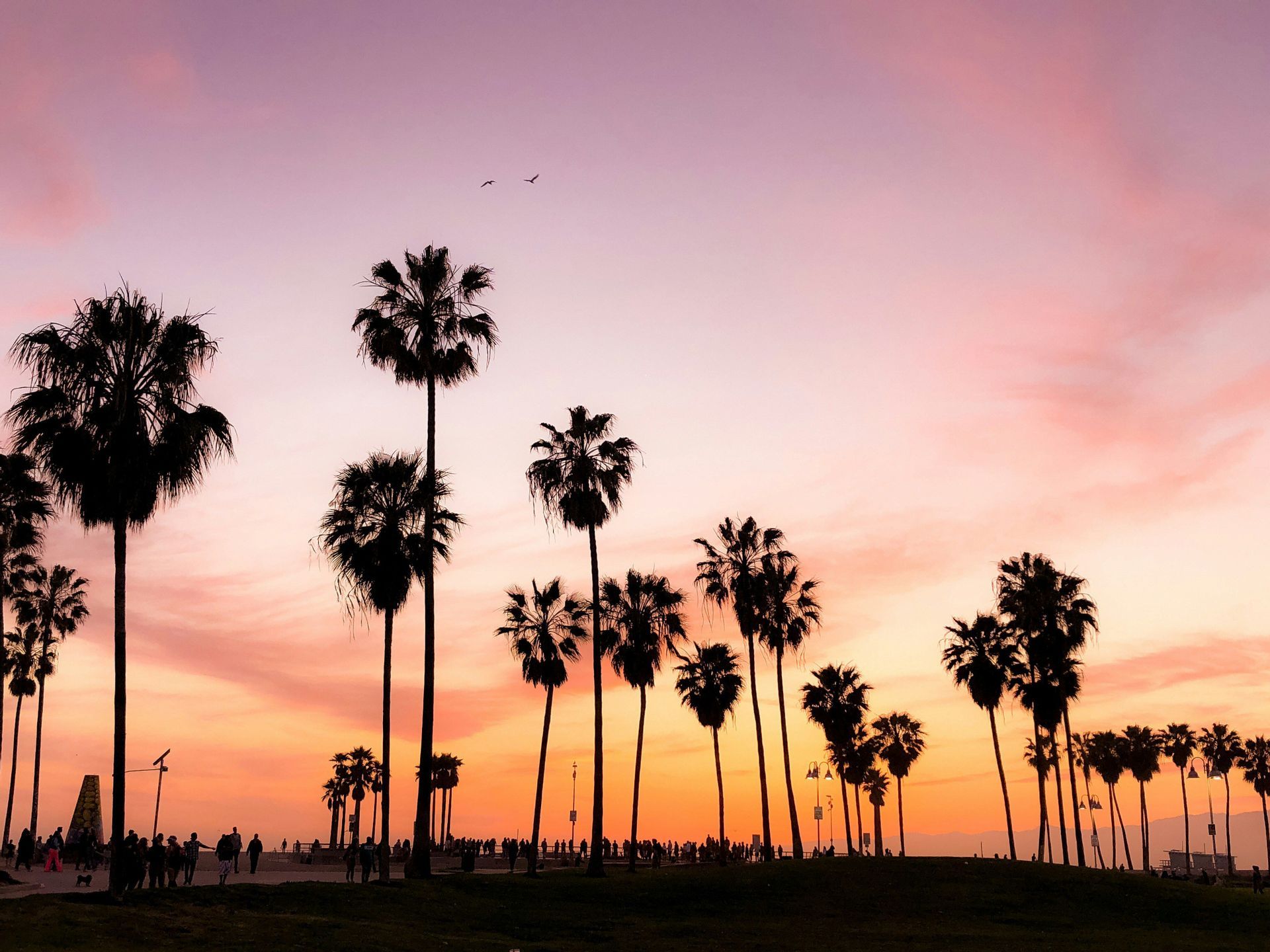 Siluetas de palmeras altas contra un atardecer rosa y naranja, con gente paseando por debajo.
