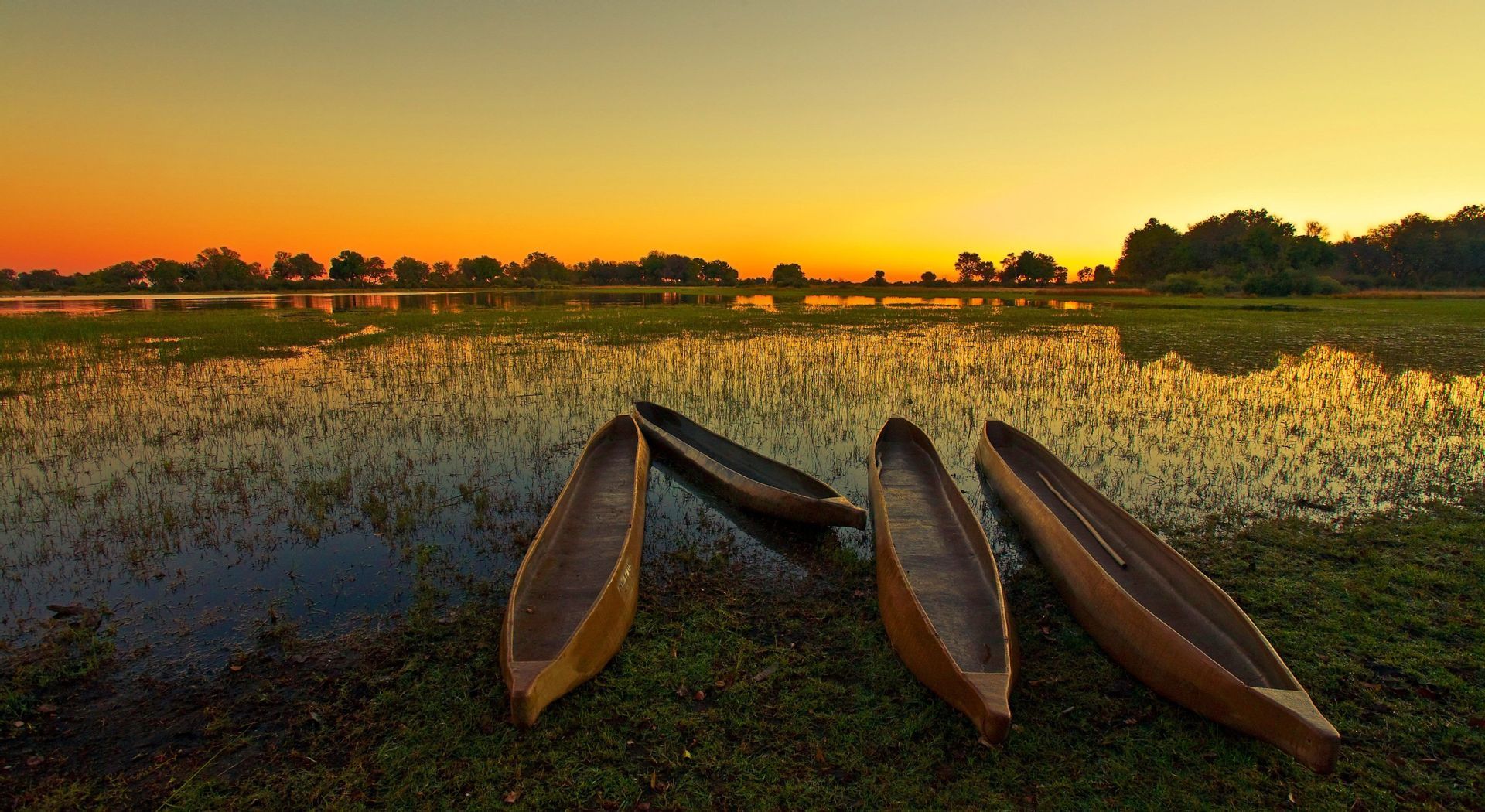 Quattro canoe tradizionali in legno sono ormeggiate sulla riva erbosa di un'area umida durante un tramonto arancione vibrante.