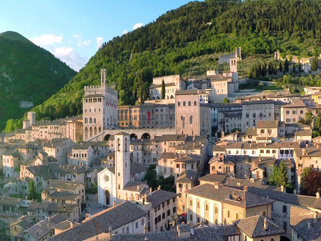 Una città storica con edifici in pietra e torri, adagiata su un rigoglioso pendio alberato sotto un cielo limpido.