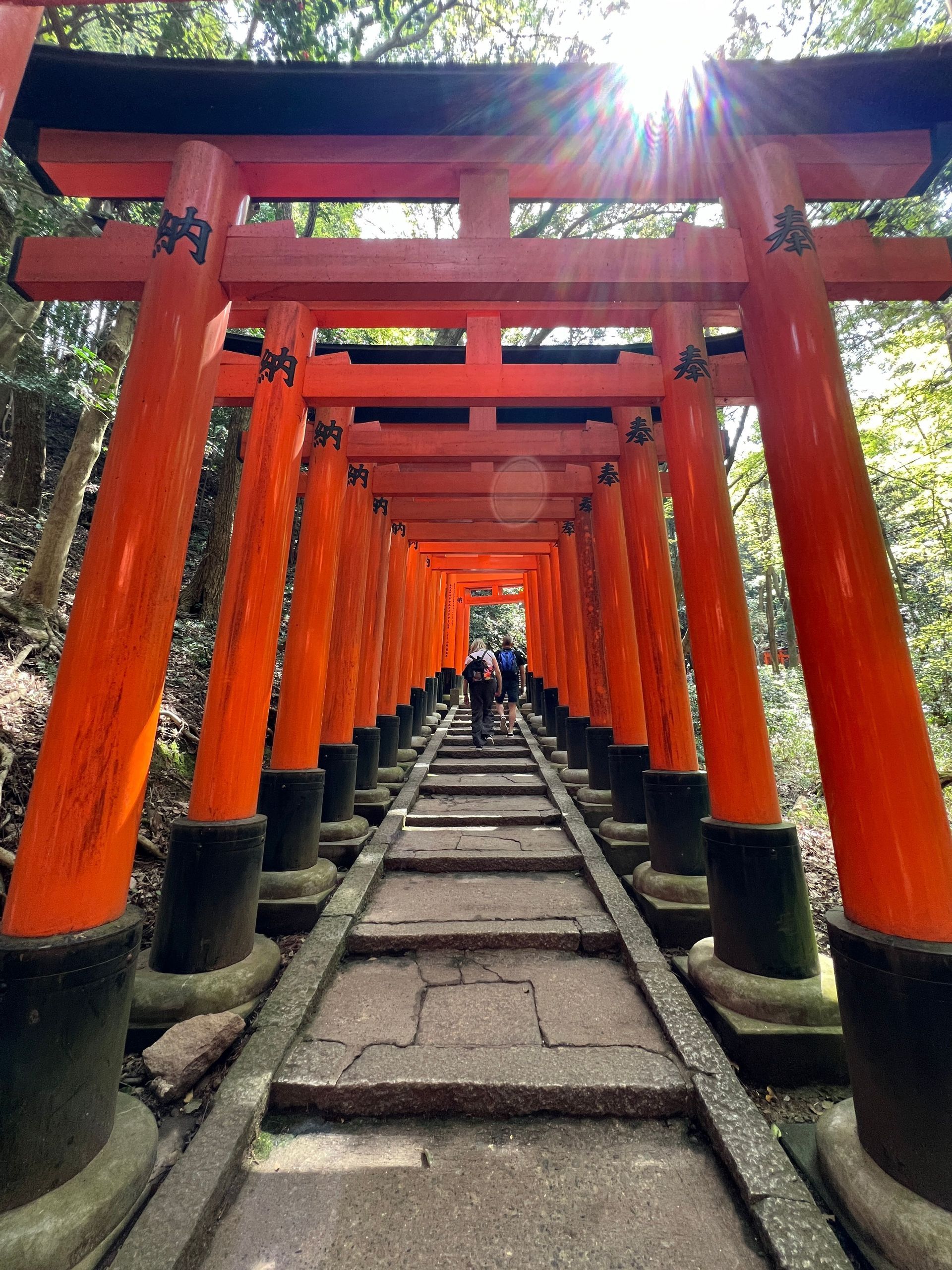 Un viaggio di gruppo WeRoad che sale una scalinata di pietra sotto un lungo tunnel di portali torii rosso-arancio in una foresta.
