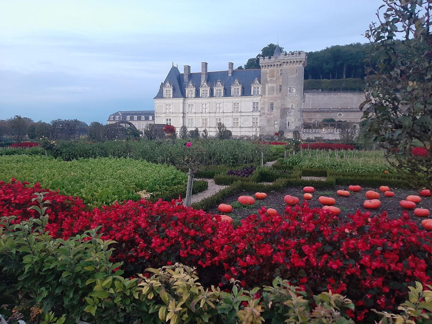 Un jardin à la française avec des fleurs rouges et des citrouilles au sol devant un grand château en pierre sous un ciel couvert.