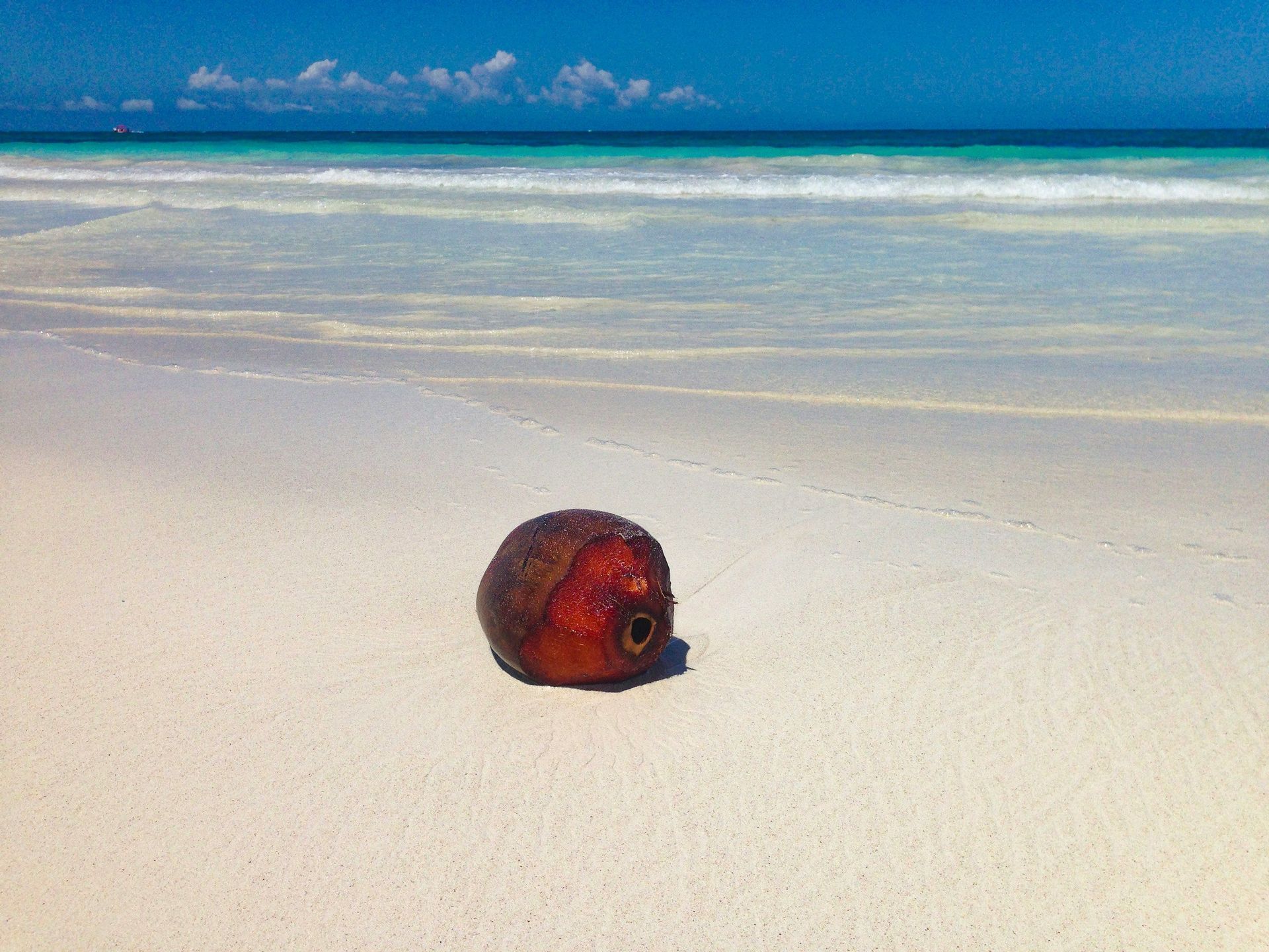 Una singola noce di cocco riposa su una spiaggia di sabbia bianca con dolci onde turchesi sotto un cielo azzurro chiaro.