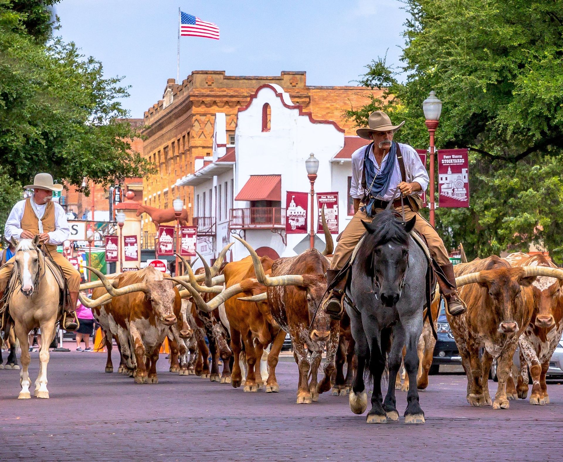Two cowboys on horseback lead a herd of Texas Longhorn cattle down a brick street during a parade.