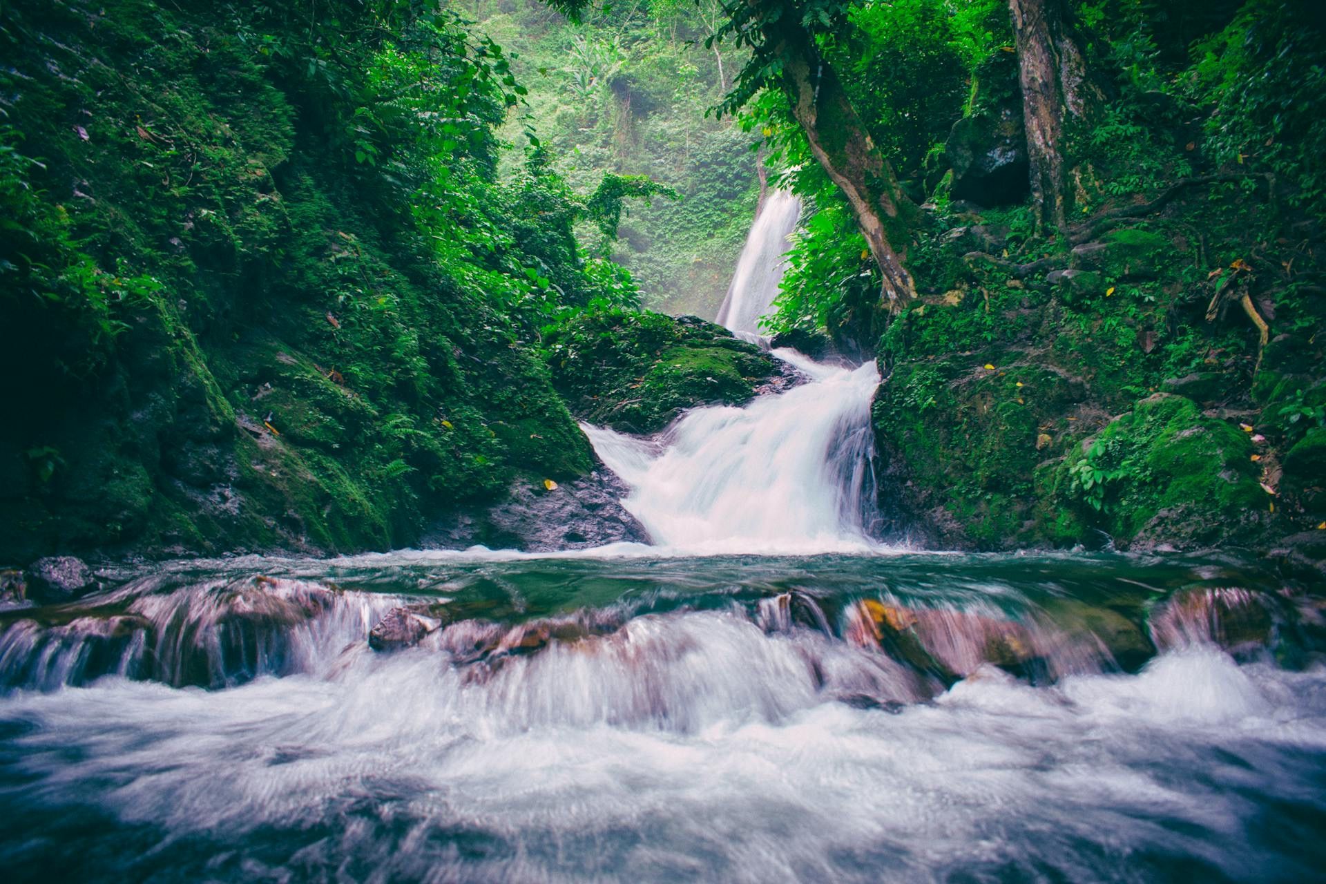 Una cascada cae a un río caudaloso con rocas cubiertas de musgo en una jungla exuberante.