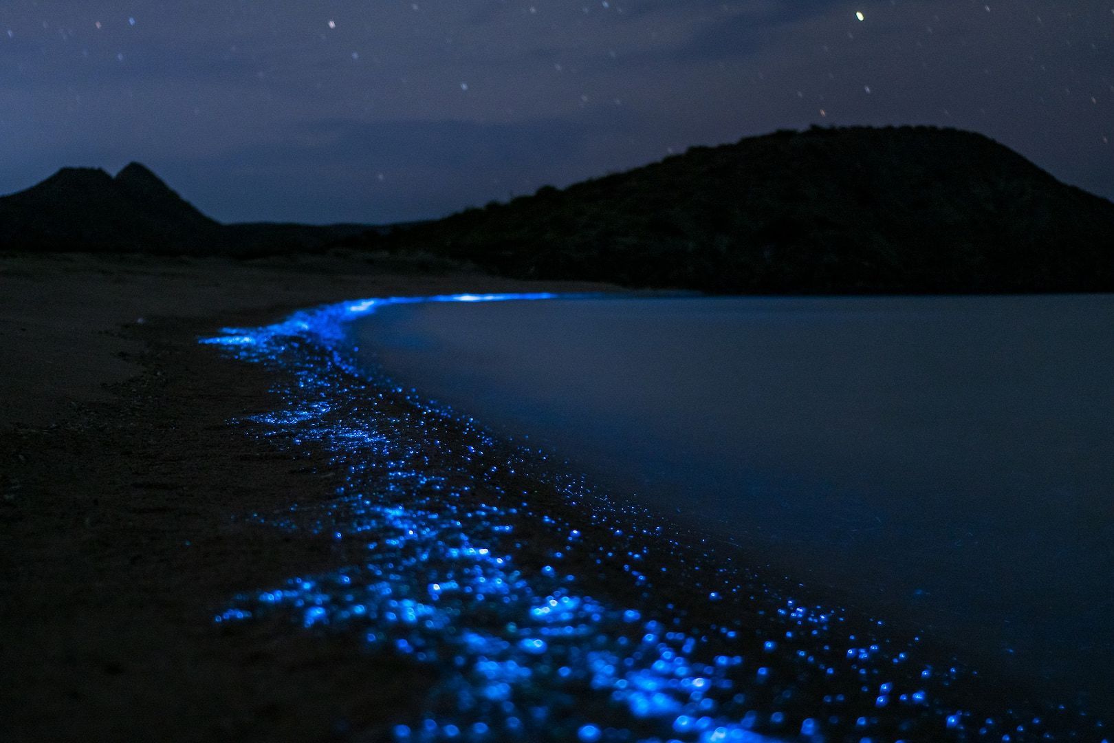 Helles blaues biolumineszierendes Plankton leuchtet nachts an einem Sandstrand, mit dunklen Hügeln und einem Sternenhimmel im Hintergrund.