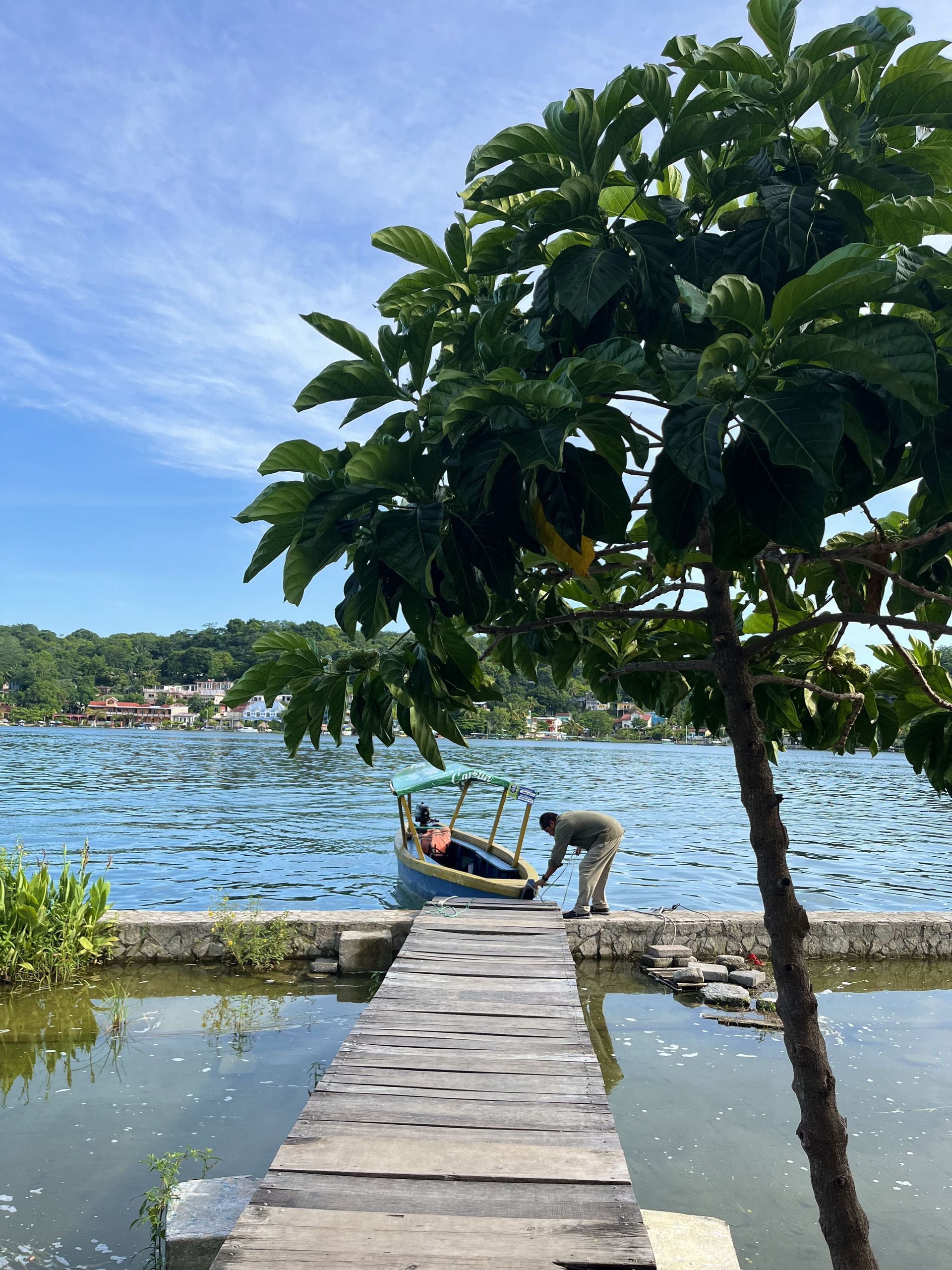 Un hombre ata una pequeña lancha motora a un muelle de madera en un lago, con un árbol verde exuberante en primer plano y colinas al fondo.
