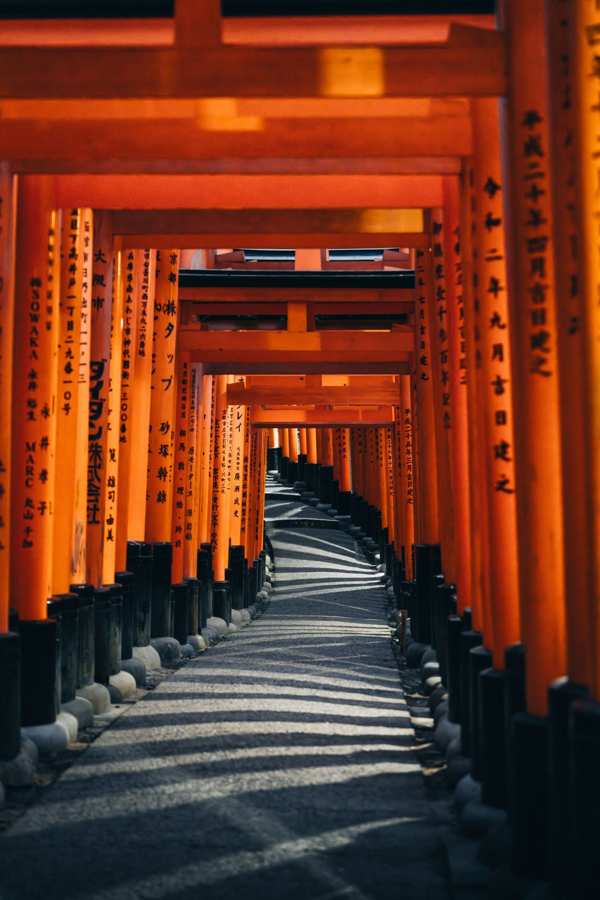Un sentiero di pietra si snoda attraverso un corridoio di cancelli torii arancioni con caratteri giapponesi, creando ombre a strisce dalla luce del sole.