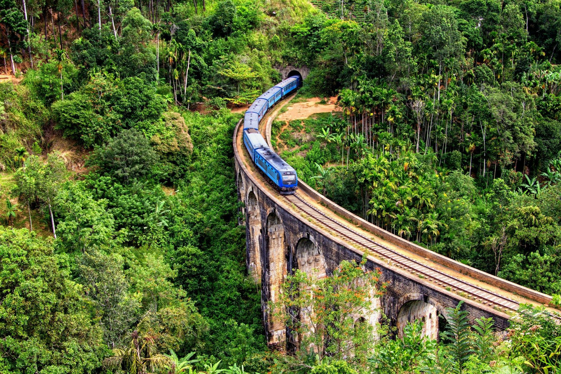 Un lungo treno blu attraversa un ponte di pietra curvo in una fitta foresta verde, dirigendosi verso una galleria.