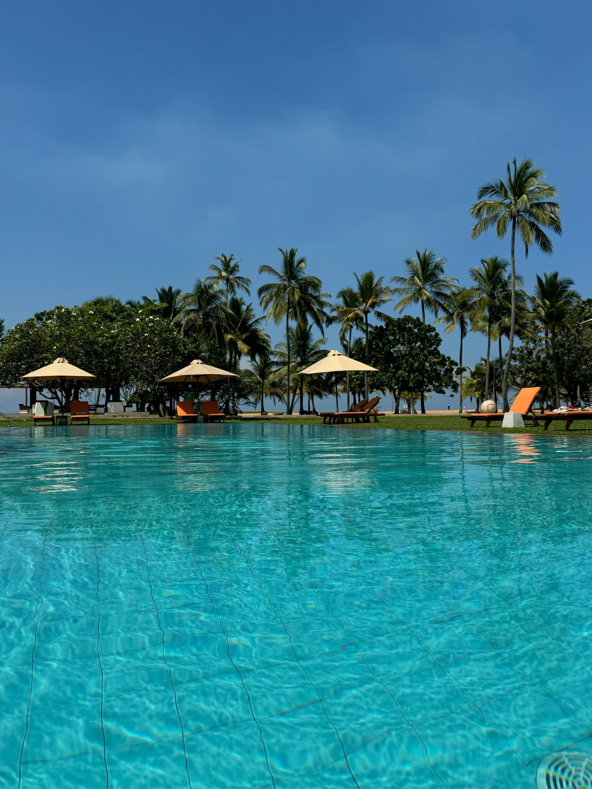 Una gran piscina en un resort tropical con tumbonas y sombrillas en un césped bordeado de palmeras bajo un cielo azul claro.