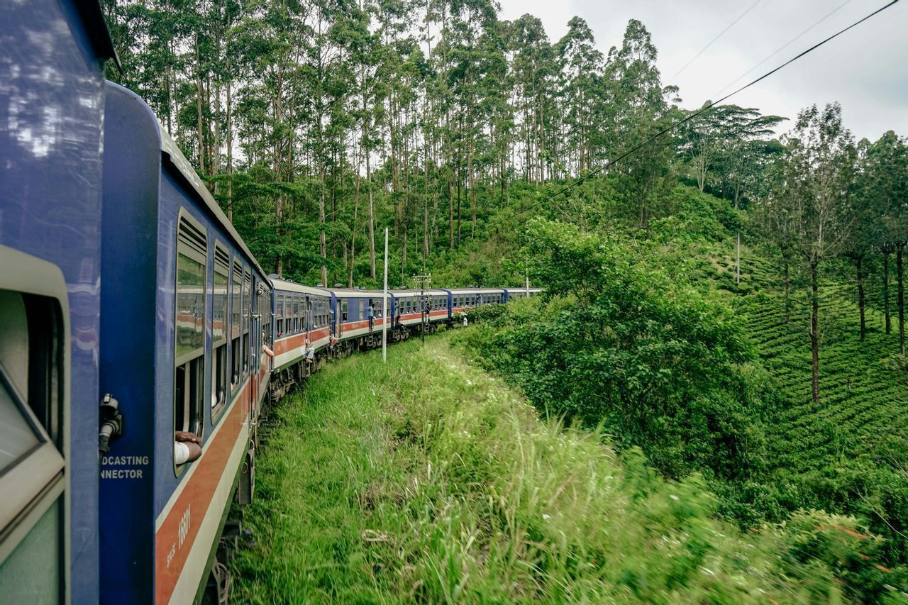 Un tren azul y rojo serpentea a través de un paisaje verde vibrante con bosques y plantaciones de té.