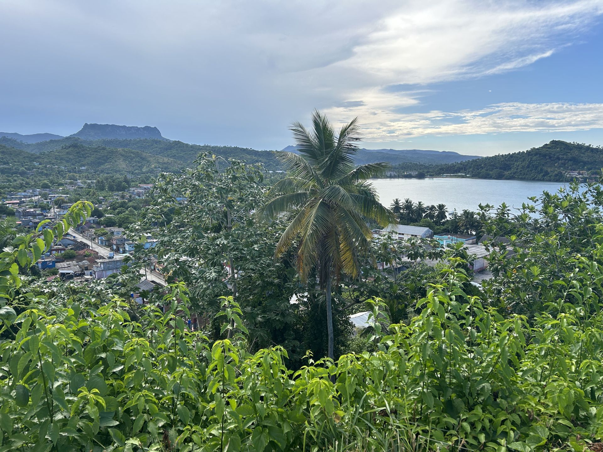 Veduta dall'alto di una cittadina tropicale affacciata su una baia, con una palma in evidenza e montagne distanti che si stagliano sulla rigogliosa vegetazione.