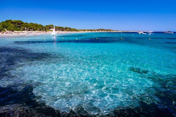 Agua turquesa cristalina ondea en primer plano de una playa soleada con veleros y gente en la arena bajo un cielo azul.