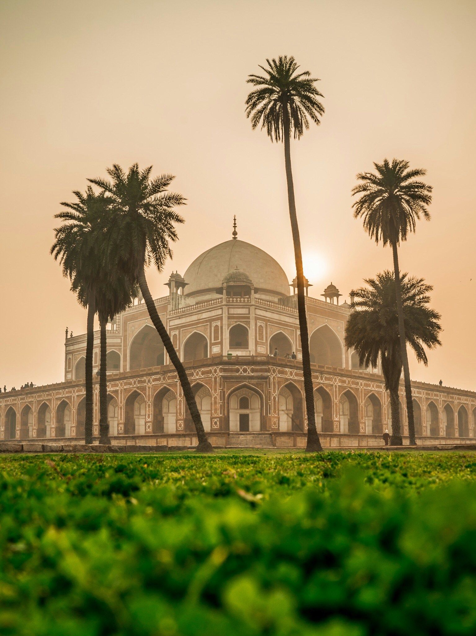 Un sontuoso edificio a cupola con archi si staglia dietro un prato verde, incorniciato da palme mentre il sole sorge in un cielo velato.