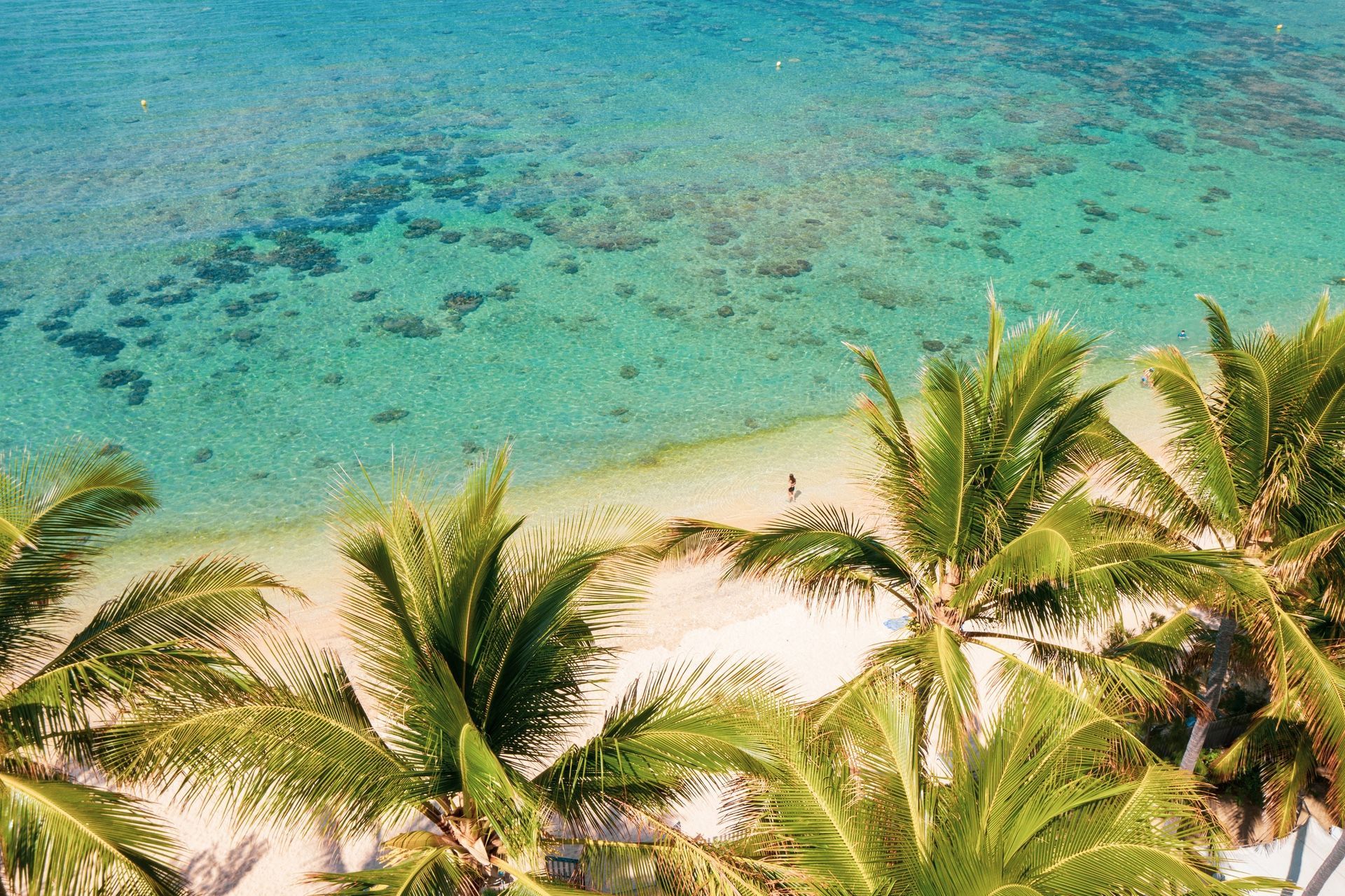 Une vue aérienne d'une plage tropicale avec des palmiers au premier plan, du sable blanc et une eau turquoise claire.