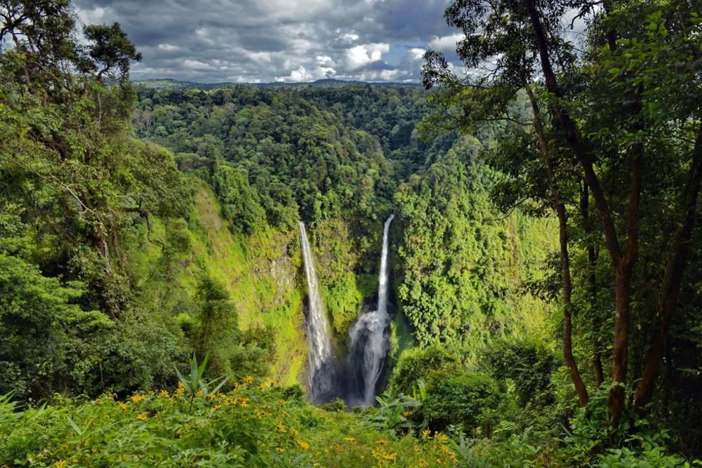 Deux cascades plongent dans un ravin au cœur d'une jungle dense et verte, sous un ciel nuageux.