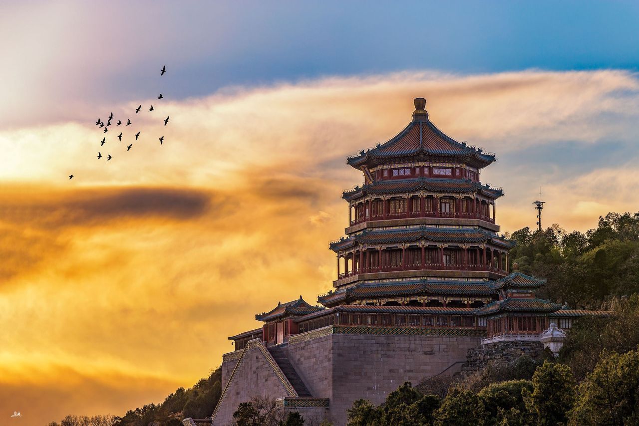 Una tradizionale pagoda cinese si erge su una collina boscosa mentre uno stormo di uccelli vola attraverso un cielo dorato al tramonto.