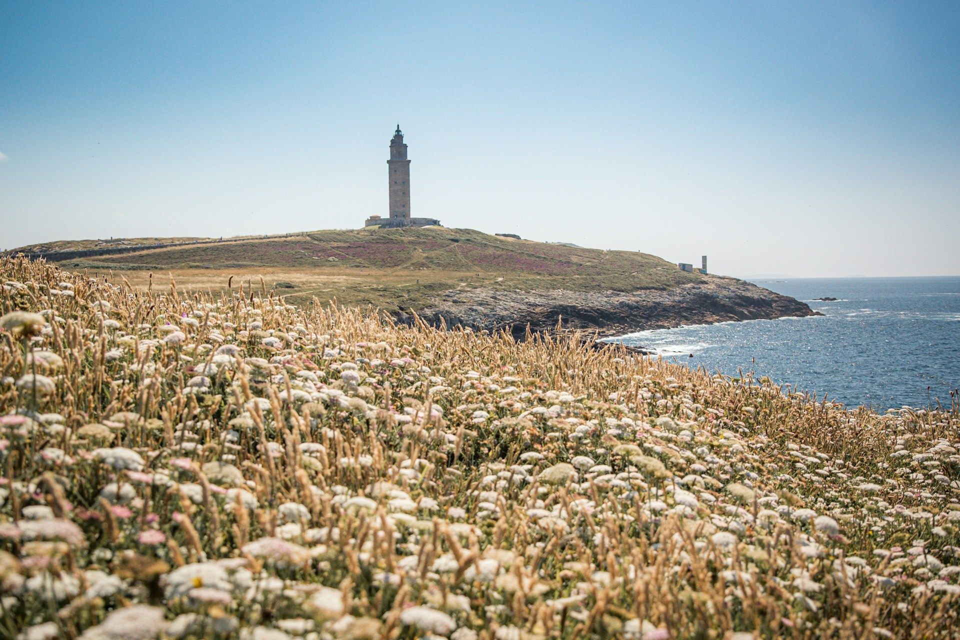 Un faro de piedra en una colina verde junto al mar, con un campo de flores silvestres blancas en primer plano.