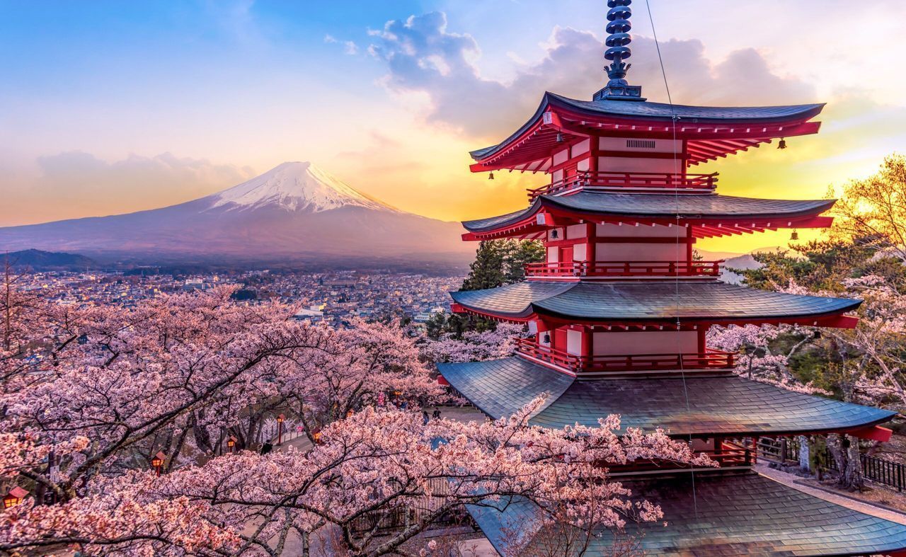 Una pagoda roja se alza entre cerezos en flor, con vistas a una ciudad con una montaña nevada al fondo al atardecer.