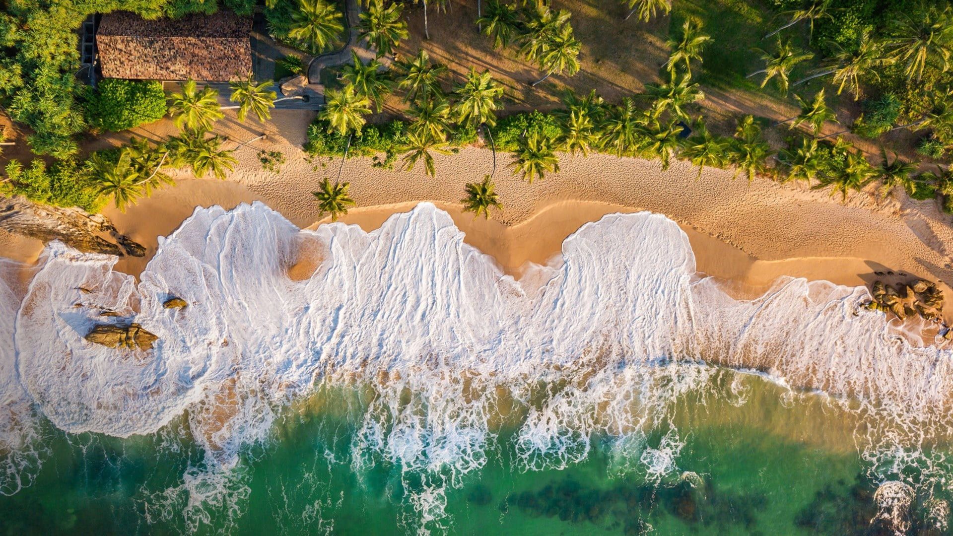 Veduta aerea dall'alto di onde con creste bianche che si infrangono su una spiaggia sabbiosa, orlata da palme e un edificio solitario.