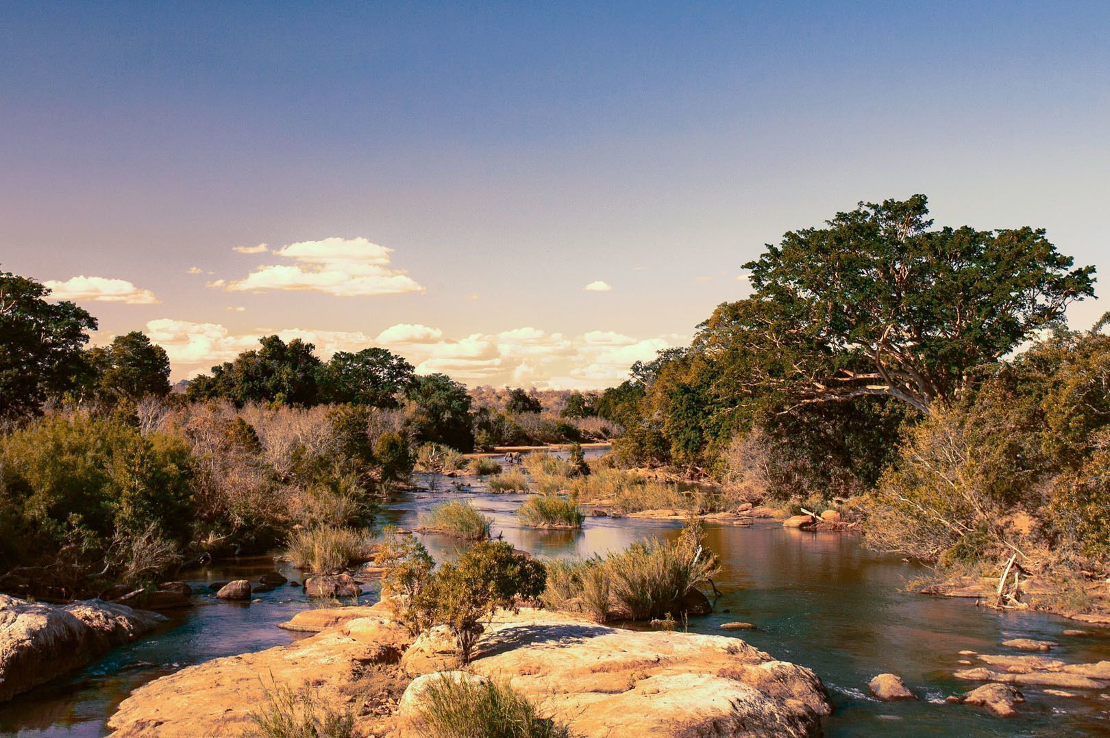 Un ampio fiume scorre attraverso un paesaggio roccioso circondato da fitti cespugli e alberi sotto un cielo azzurro limpido con nuvole sparse.