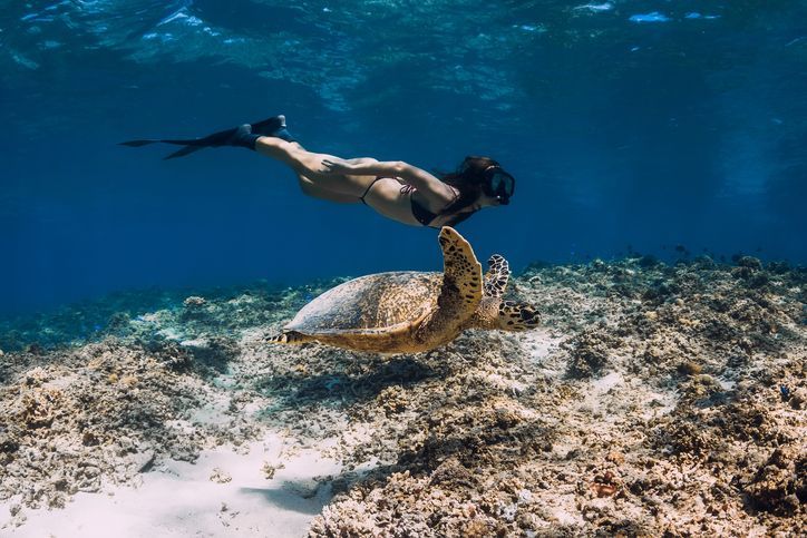 A person with a mask and fins freediving next to a sea turtle over a coral reef in blue water.