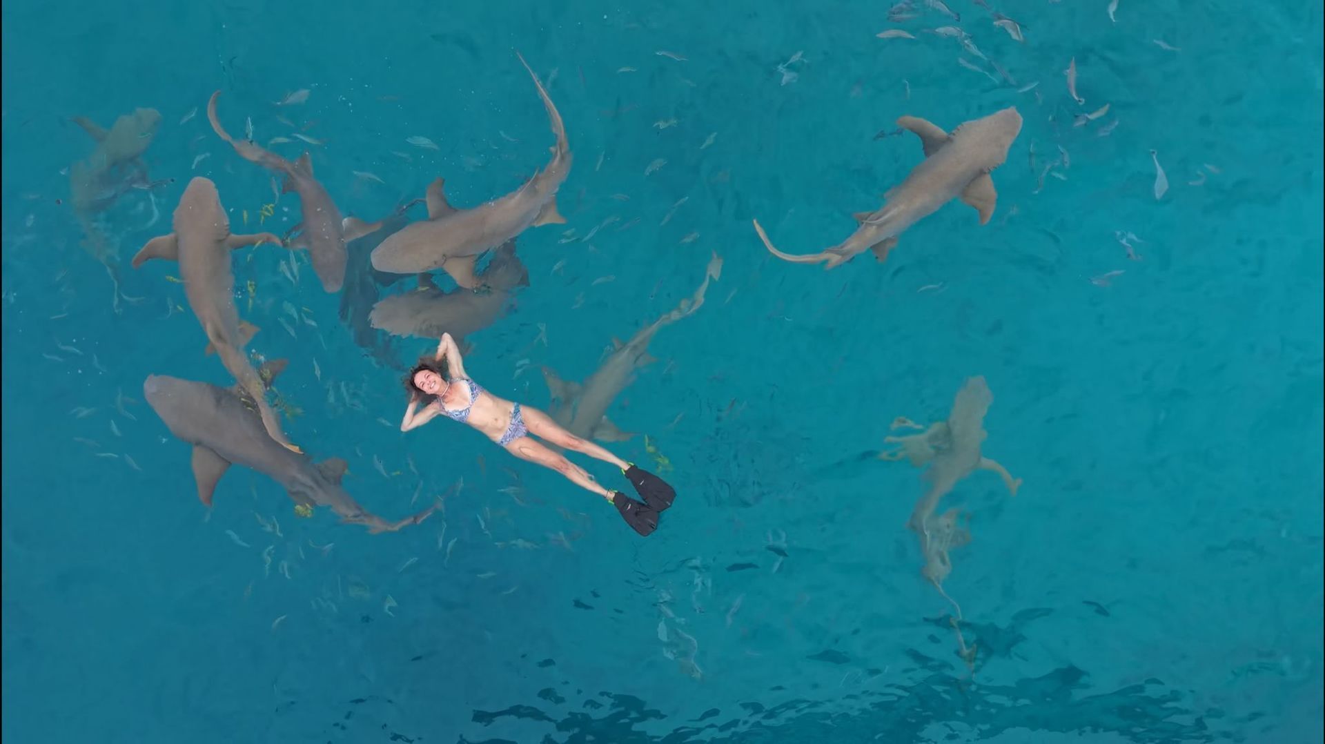 Vista aérea de una mujer en bikini y aletas flotando de espaldas en agua turquesa, rodeada de muchos tiburones y peces pequeños.