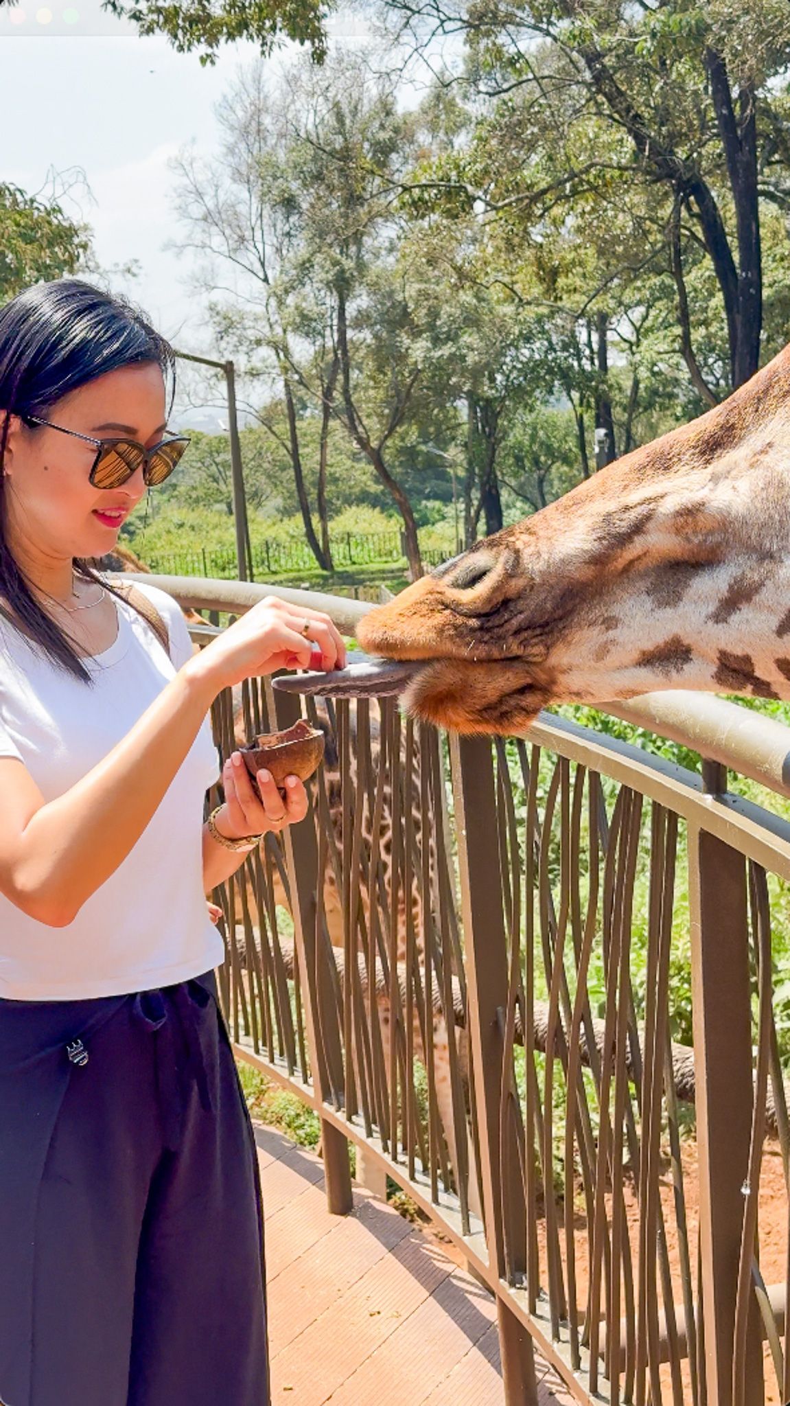 A woman with sunglasses stands on a platform and hand-feeds a giraffe from a small bowl.
