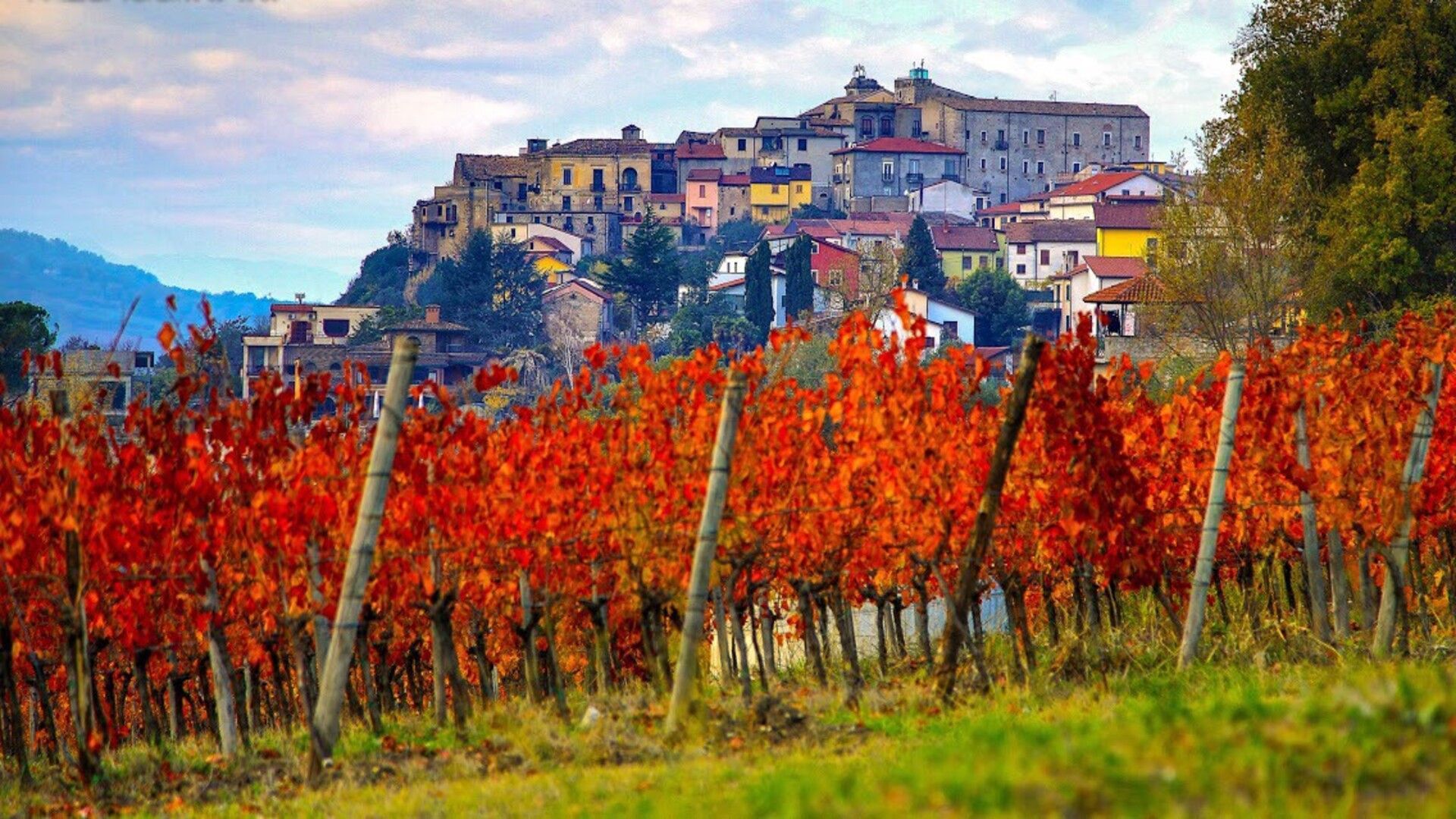 Un vigneto con foglie autunnali rosso vivo in primo piano si affaccia su un colorato villaggio costruito su una collina sullo sfondo.