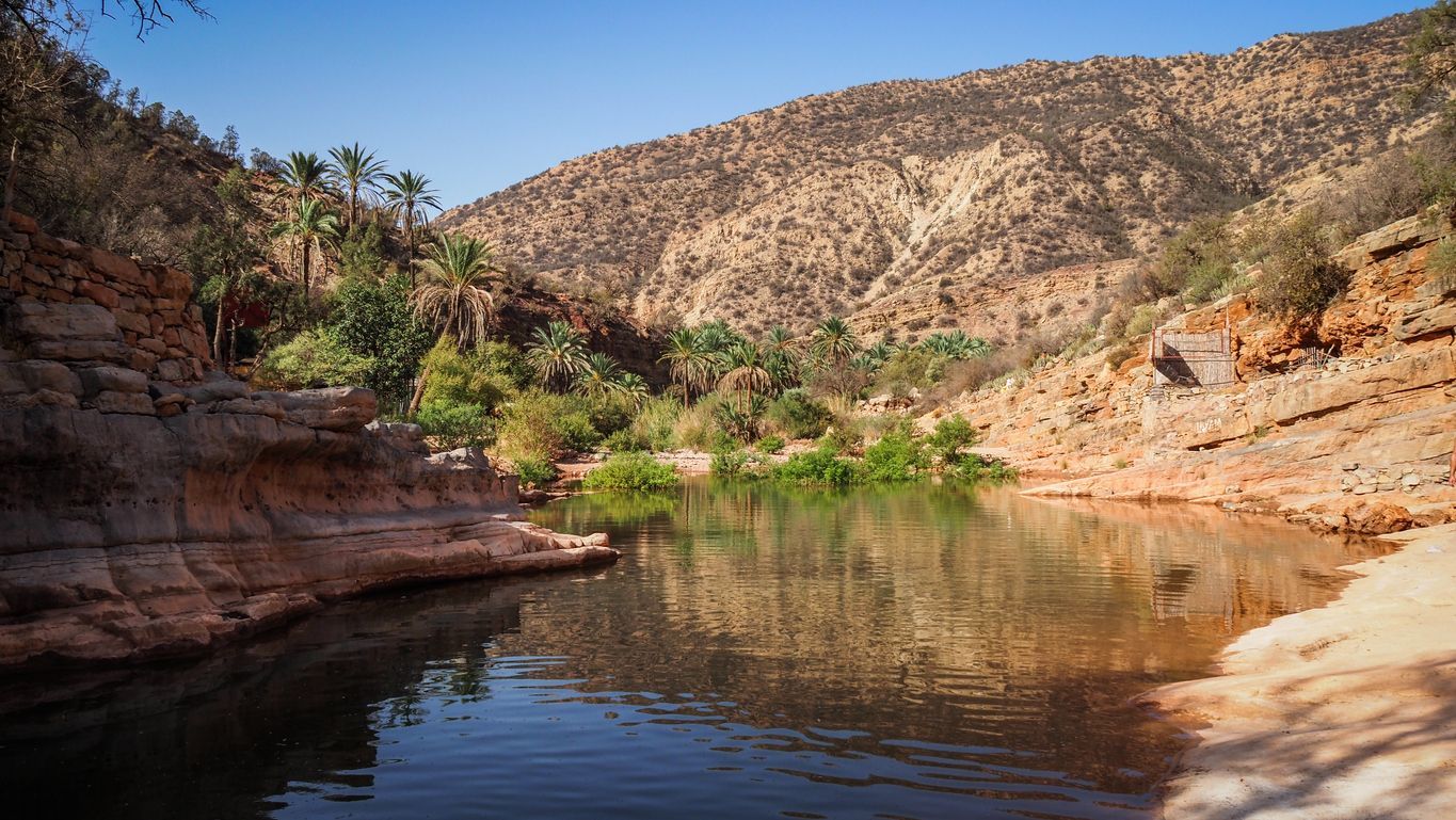 A river flows through a rocky canyon filled with palm trees, with an arid mountain rising in the background.