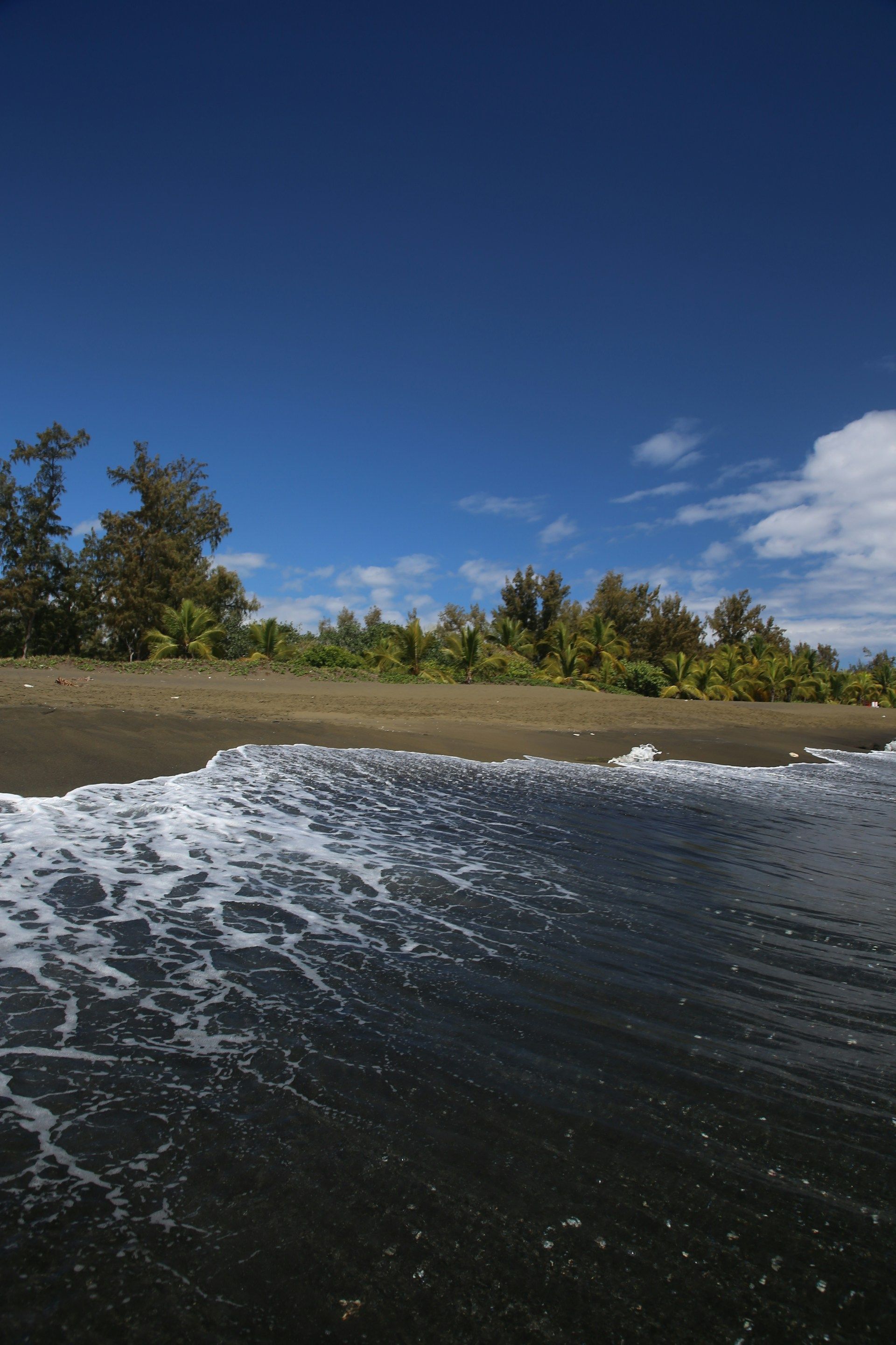 Un'onda con schiuma bianca si infrange su una spiaggia di sabbia scura, bordata da alberi verdi lussureggianti sotto un cielo azzurro limpido.