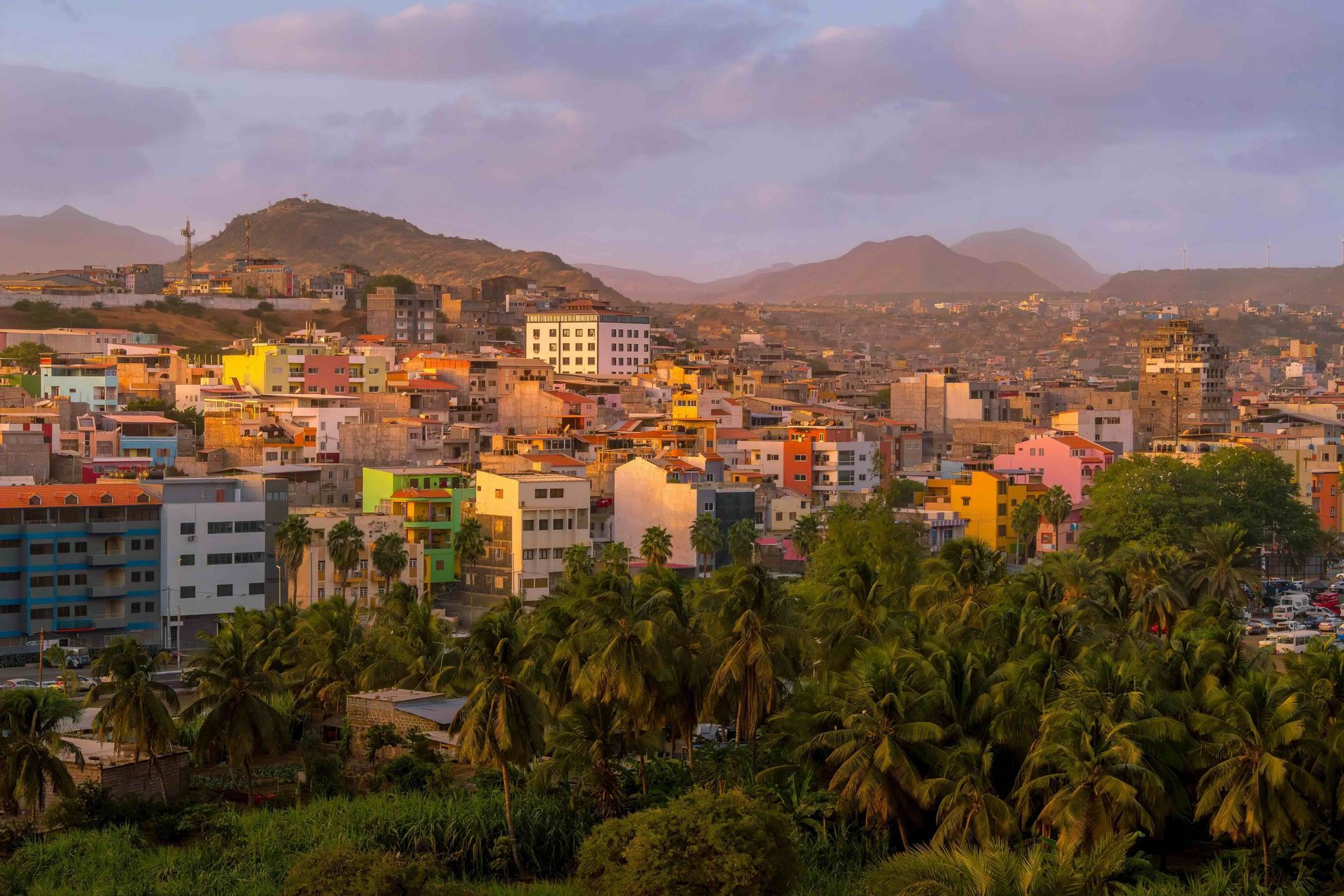 Un paysage urbain de bâtiments colorés s'élève d'une canopée luxuriante de palmiers, avec des montagnes arides en arrière-plan.