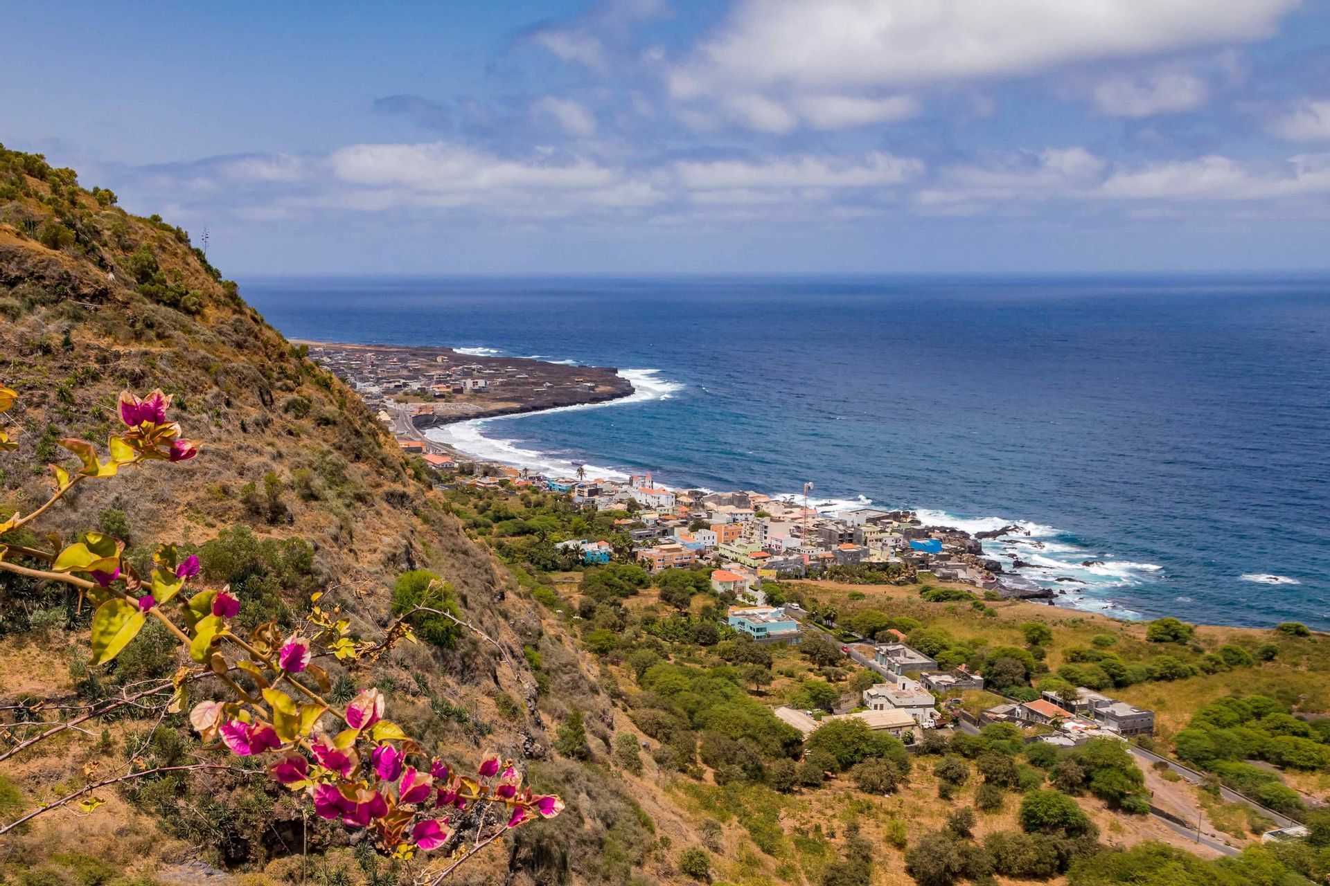 Une ville côtière est située sur une baie près de l'océan, vue depuis une colline avec des fleurs roses au premier plan.