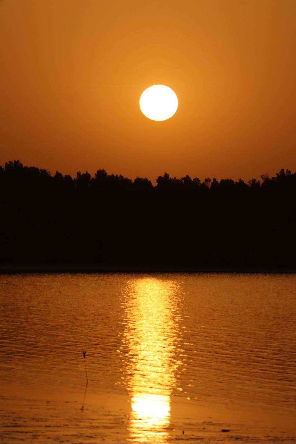 Eine strahlende Sonne hängt an einem orangefarbenen Himmel über einem silhouettierten Wald, dessen Spiegelung auf dem Wasser schimmert.