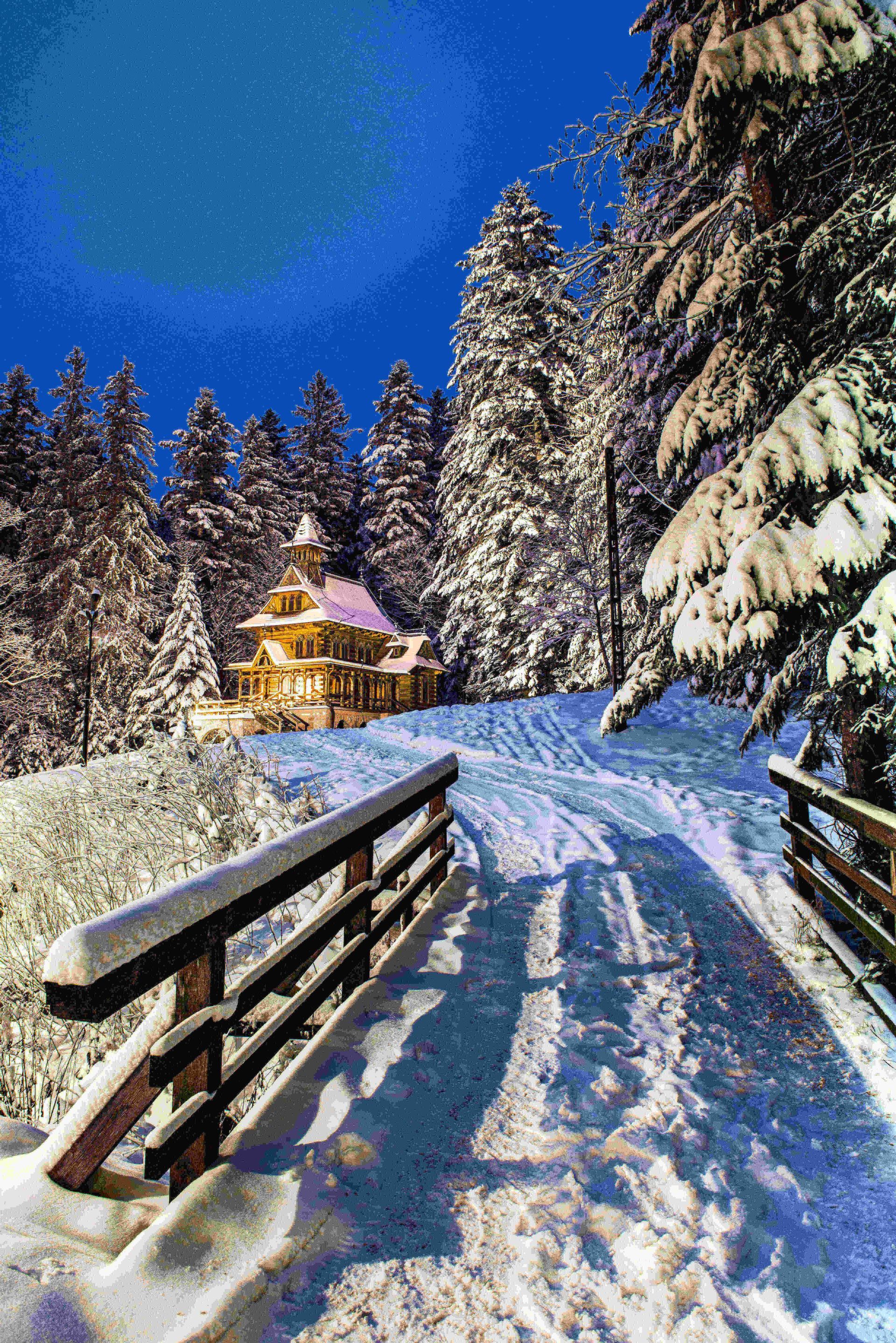 Una capilla de madera, iluminada por la noche, se asienta en un bosque nevado de pinos, con un puente cubierto de nieve en primer plano.