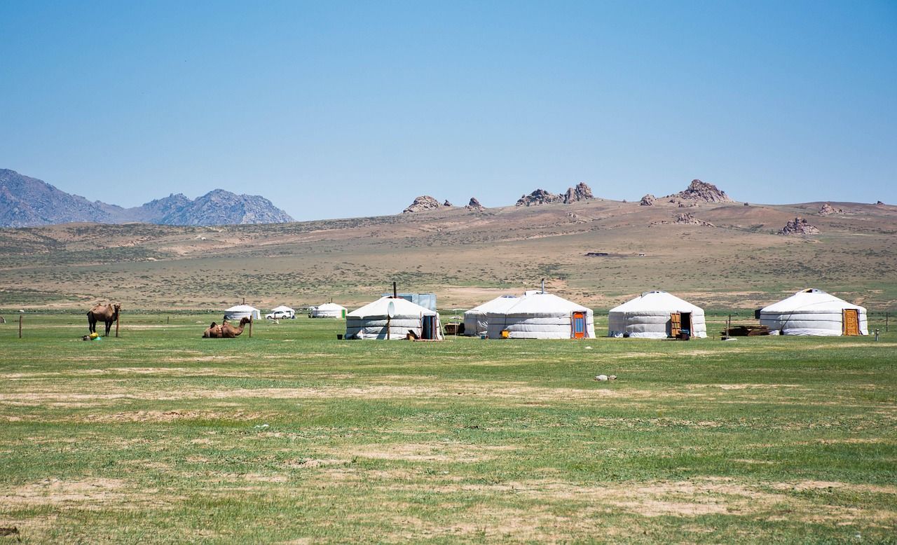 White yurts and camels stand on a grassy plain with hills and mountains in the background under a clear sky.