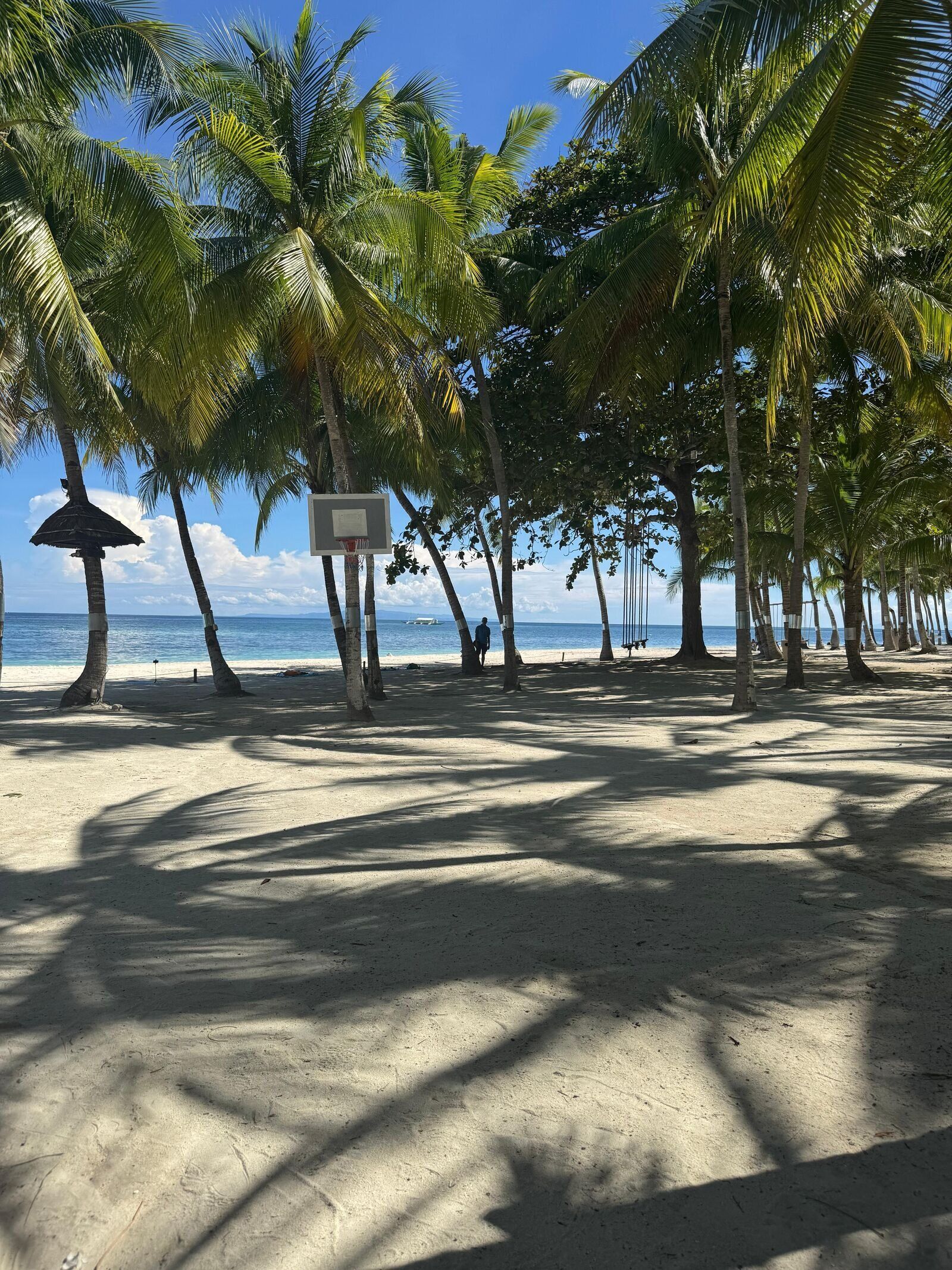 Un canestro da basket è fissato a una palma su una spiaggia sabbiosa, con le forti ombre degli alberi e l'oceano sullo sfondo.