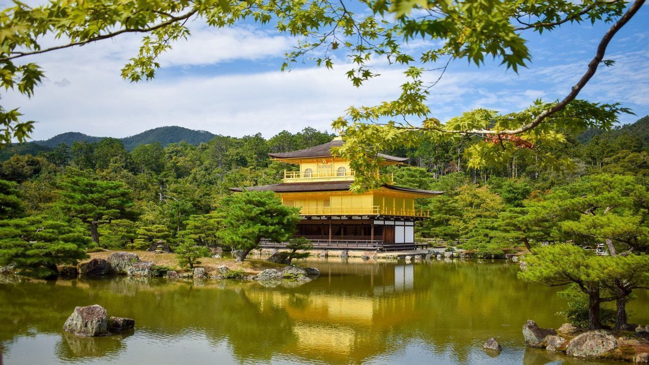 Un templo dorado se refleja en un estanque, rodeado por un jardín japonés con pinos y una colina boscosa.