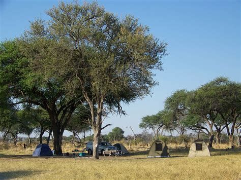 Un campeggio con diverse tende e un veicolo piazzati in una radura erbosa nella savana sotto grandi alberi.