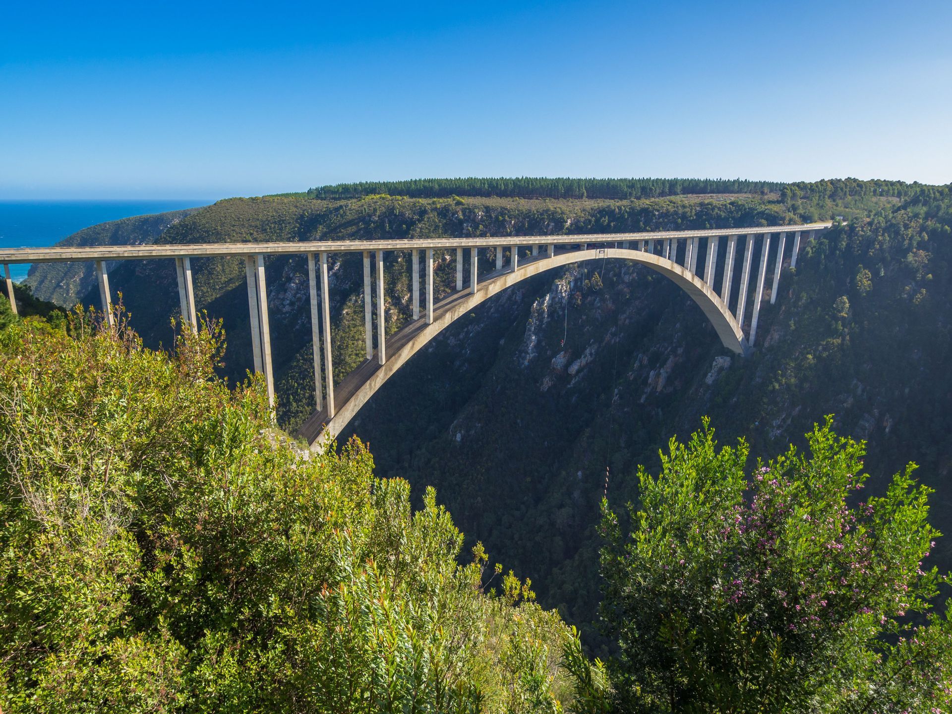 Eine Betonbogenbrücke überspannt eine tiefe, bewaldete Schlucht mit dem Ozean in der Ferne unter klarem Himmel.