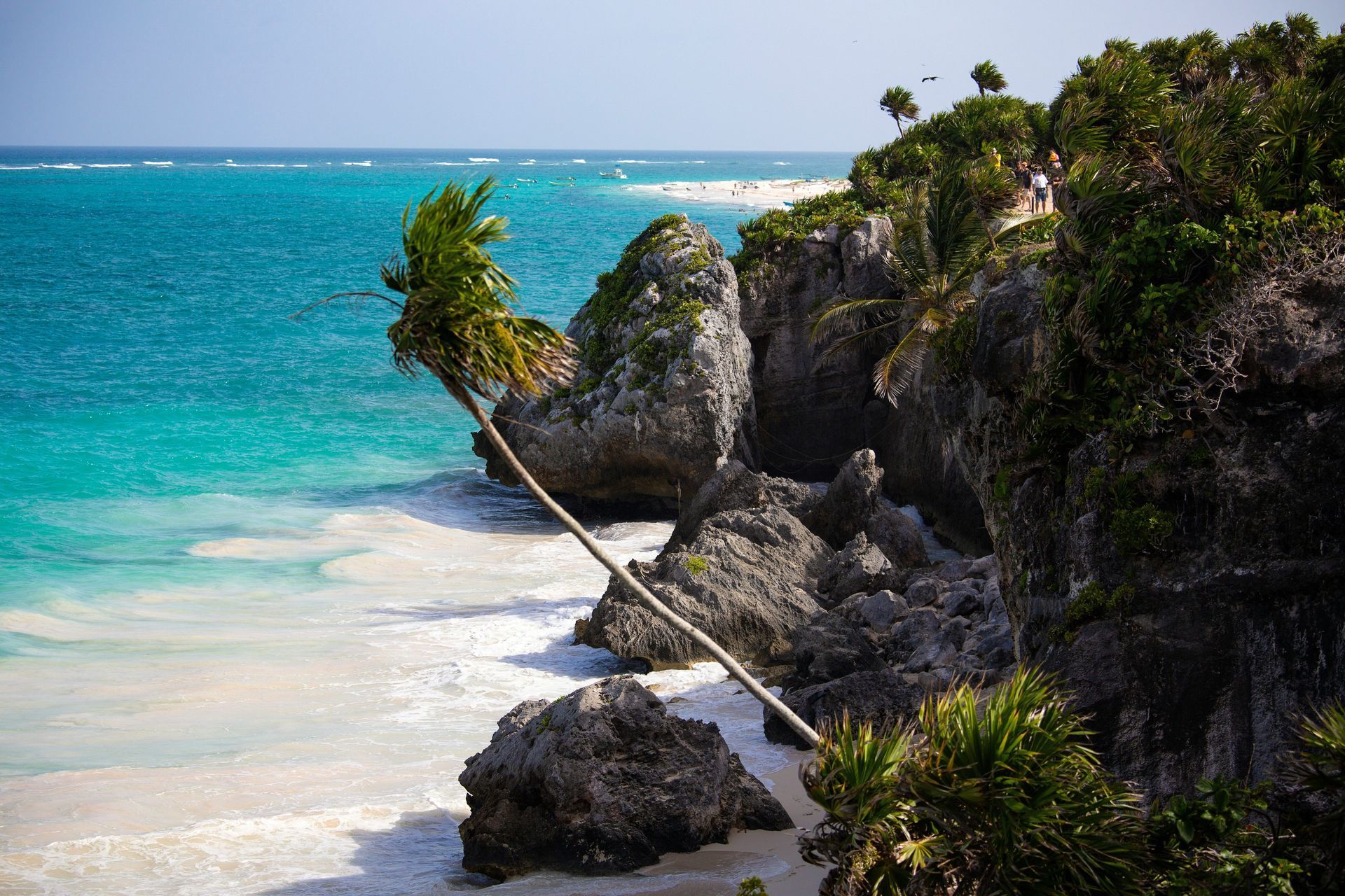 Eine Palme neigt sich von einer felsigen, grünen Klippe über einen weißen Sandstrand mit türkisfarbenem Wasser.