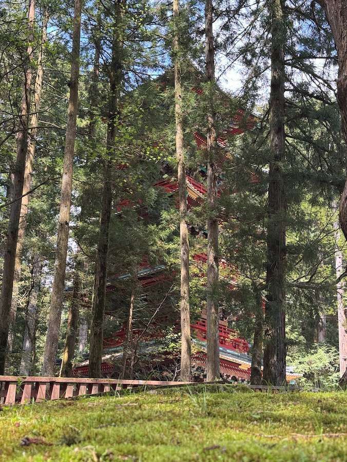 Una pagoda rossa e alta è parzialmente nascosta dai tronchi di numerosi alberi in una fitta foresta, con una staccionata di legno in primo piano.