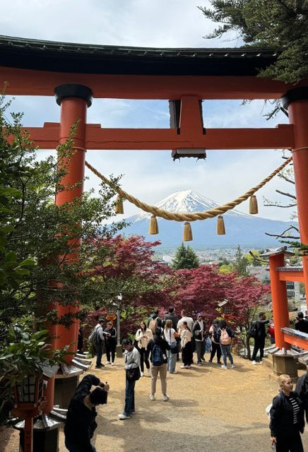 Un viaggio di gruppo WeRoad si riunisce sotto un grande cancello torii rosso per ammirare una montagna innevata in lontananza.