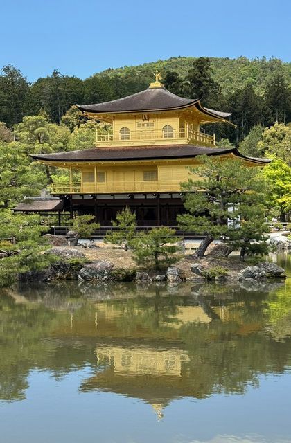 Un padiglione dorato dall'architettura tradizionale si riflette nell'acqua calma di uno stagno, circondato da alberi curati e una foresta.