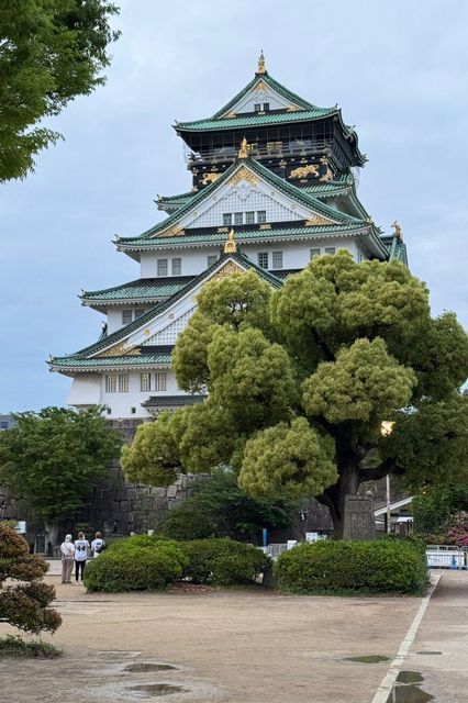 Un grande castello tradizionale giapponese con tetti di tegole verdi si erge dietro un albero verde lussureggiante, con alcune persone in primo piano.