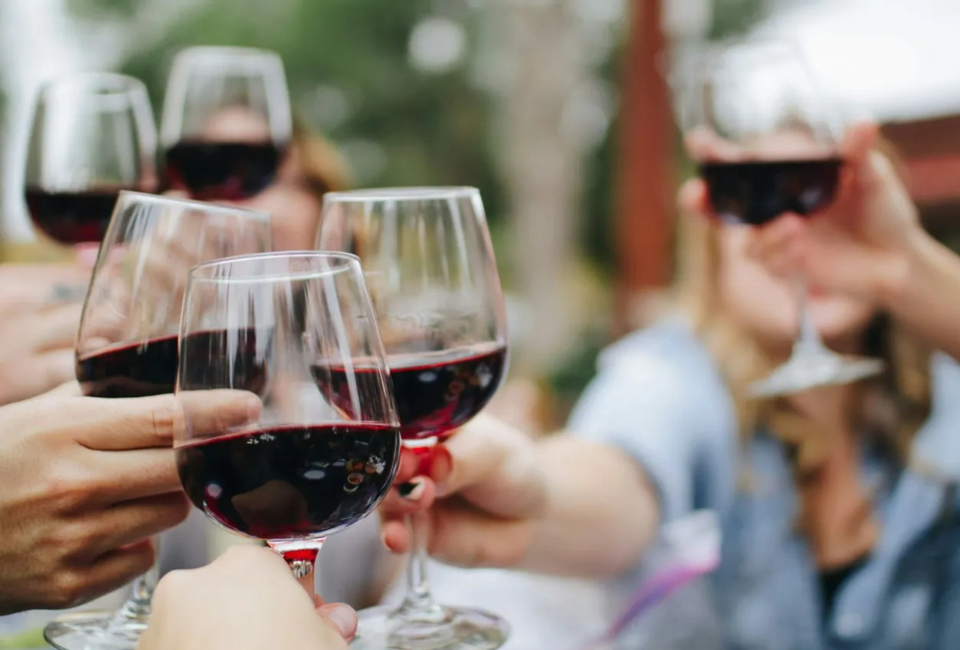 Primo piano di un gruppo WeRoad che brinda con calici di vino rosso durante un incontro all'aperto.