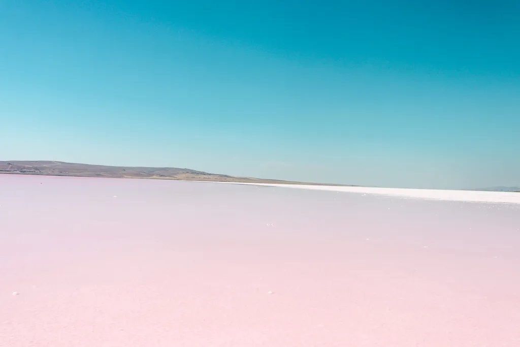 Un vaste lac rose s'étend vers des montagnes lointaines sous un ciel bleu clair