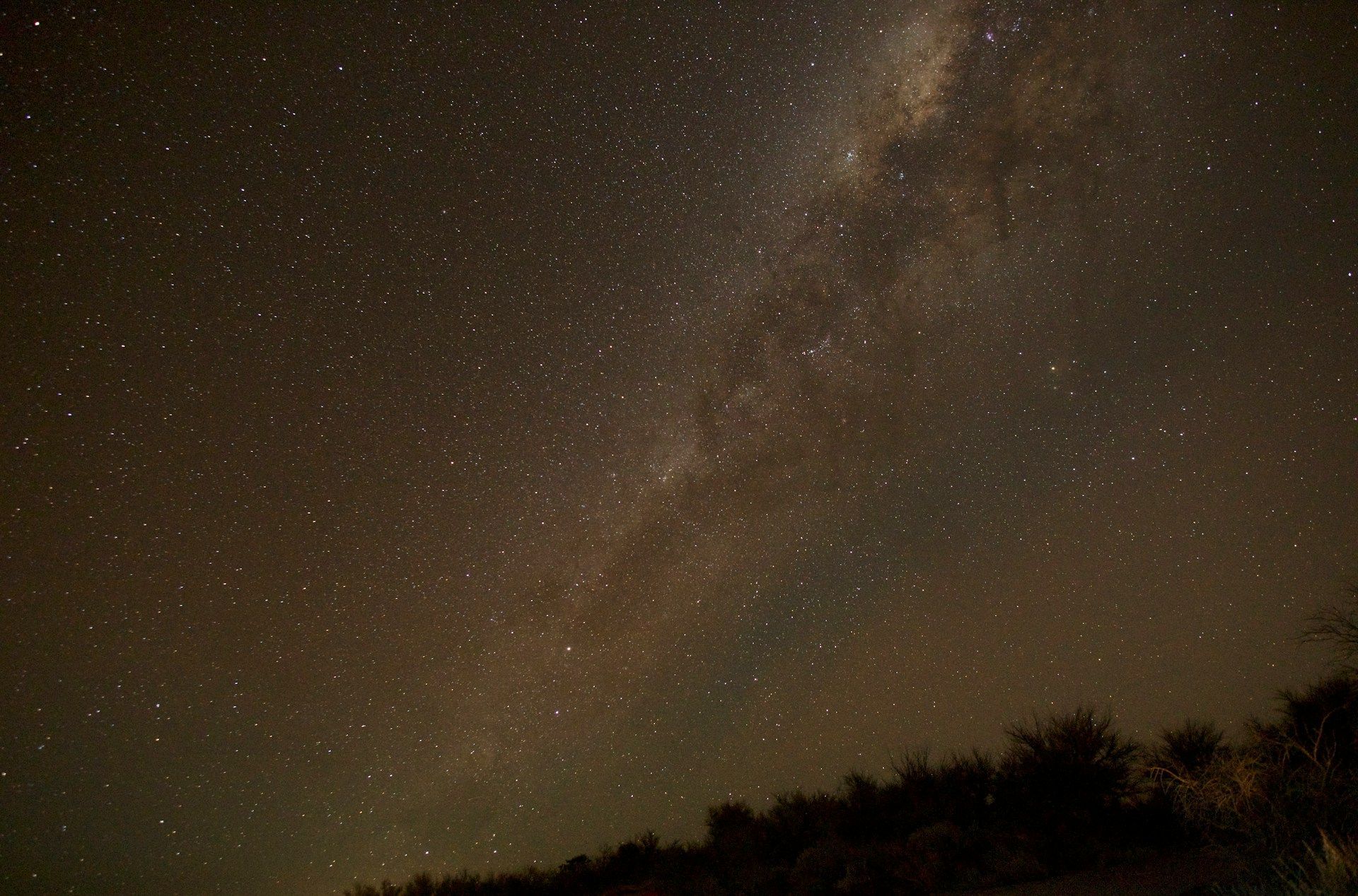 La Via Lattea si estende attraverso un cielo notturno stellato, con la sagoma di una linea di alberi in basso.